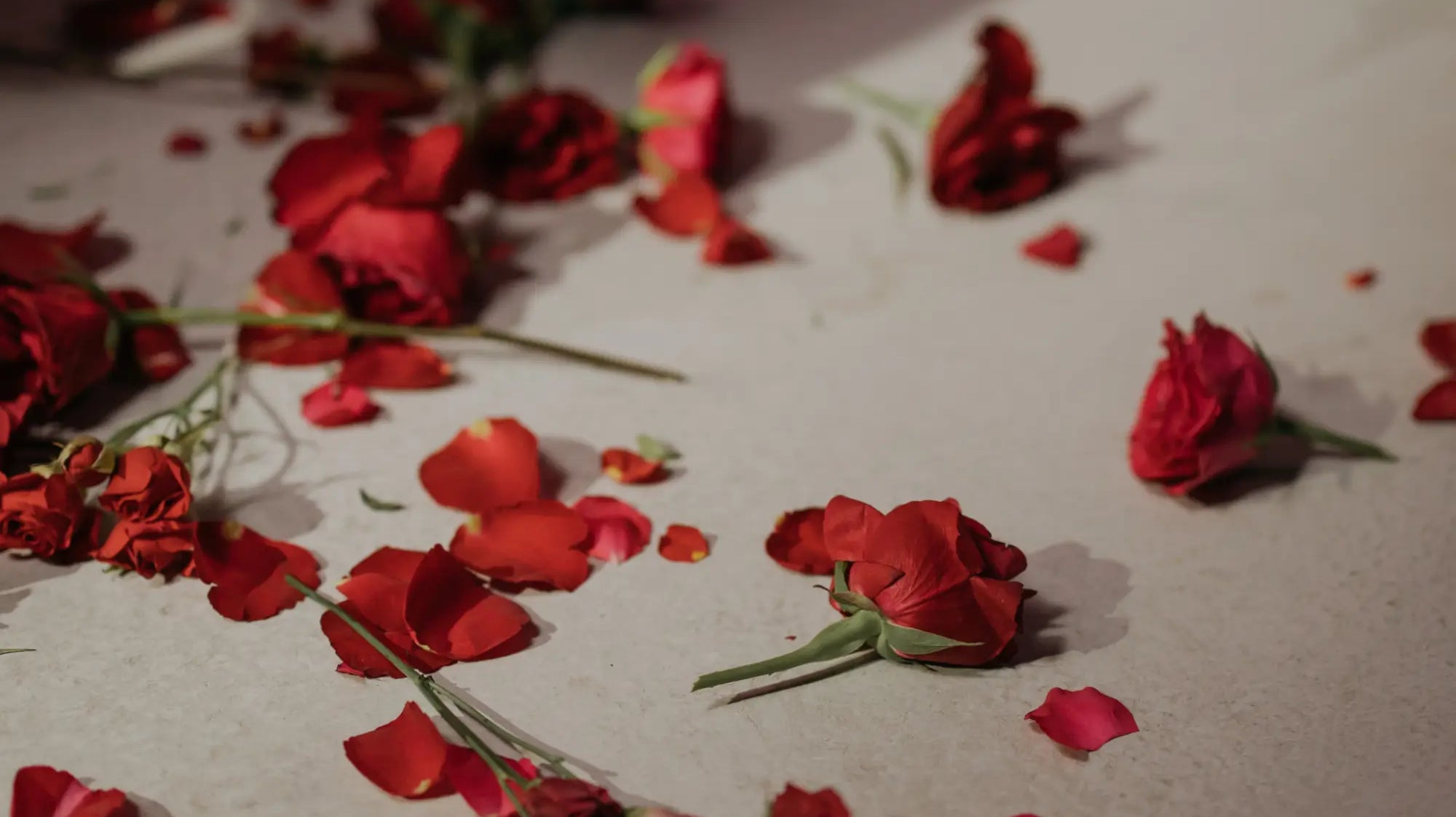 30 Days of Play ~ Day 23: Love Me Down — The Romantic 69