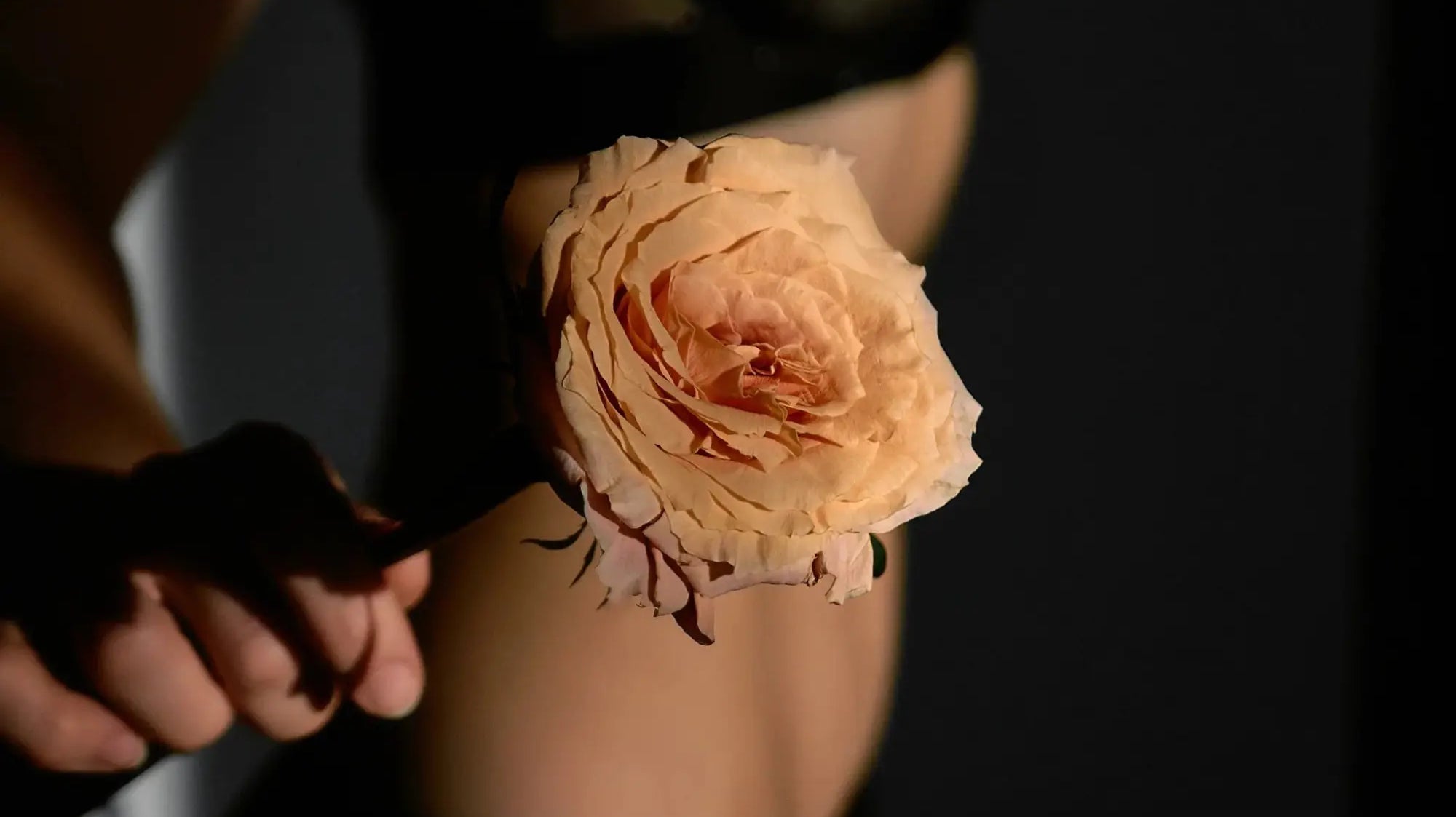 Bedroom Looks That Scream “Come. Here. Now.” – Seductive Styles That Won’t Break the Bank 💋