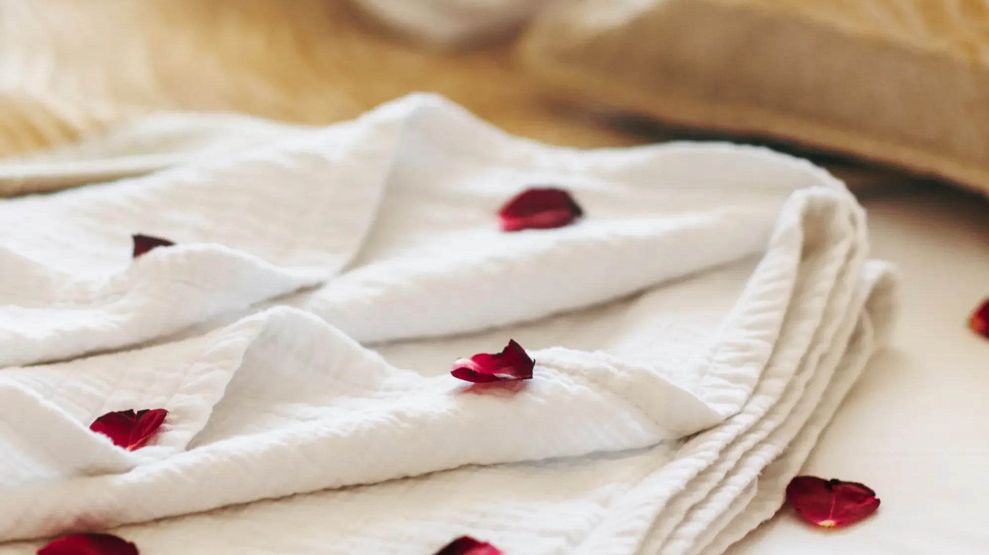 What Makes the Best Cum Towel? Let’s Talk Dirty (and Clean).