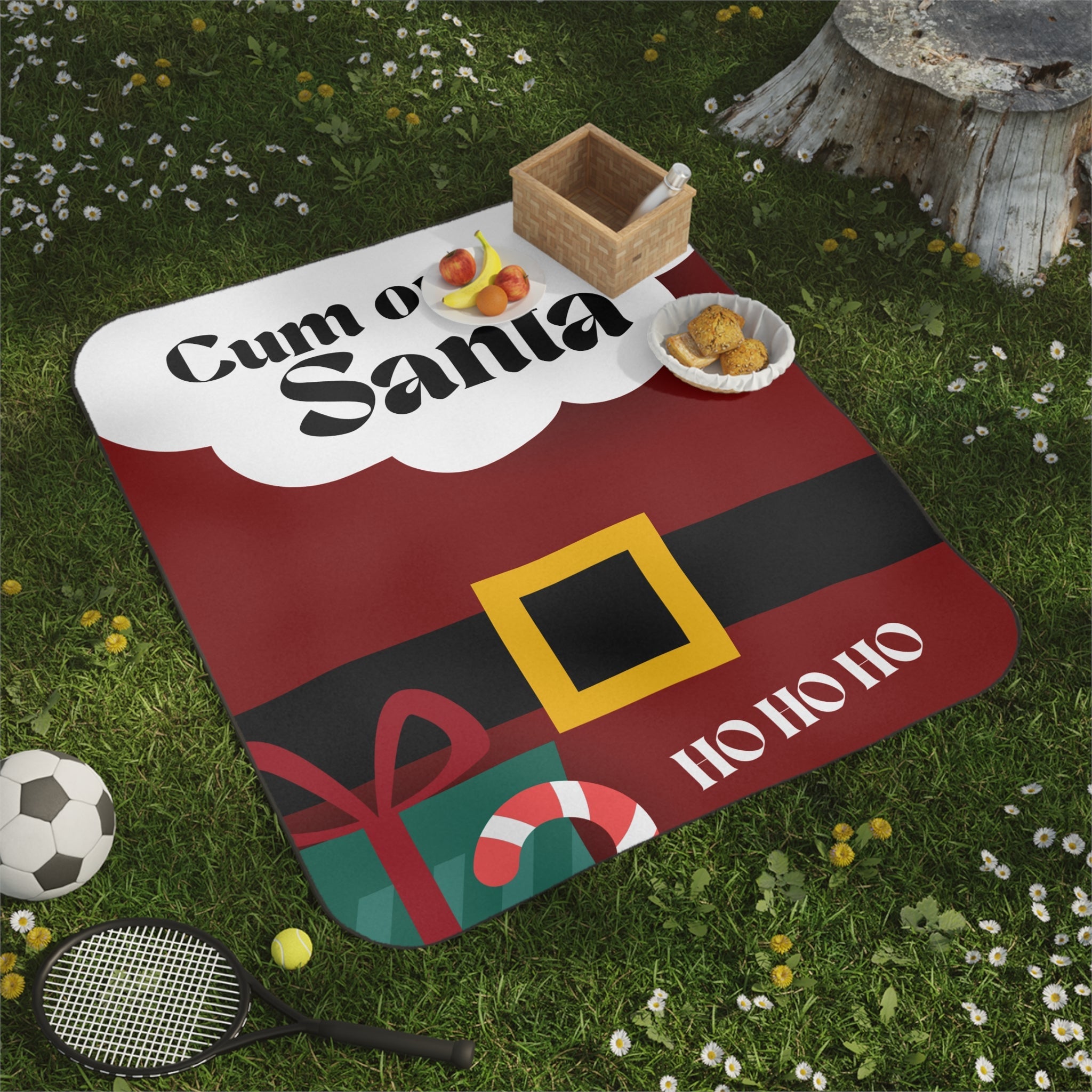 Cum on Santa | Mix Match Fun-Flirty Lovers’ Water-Resistant Blankets