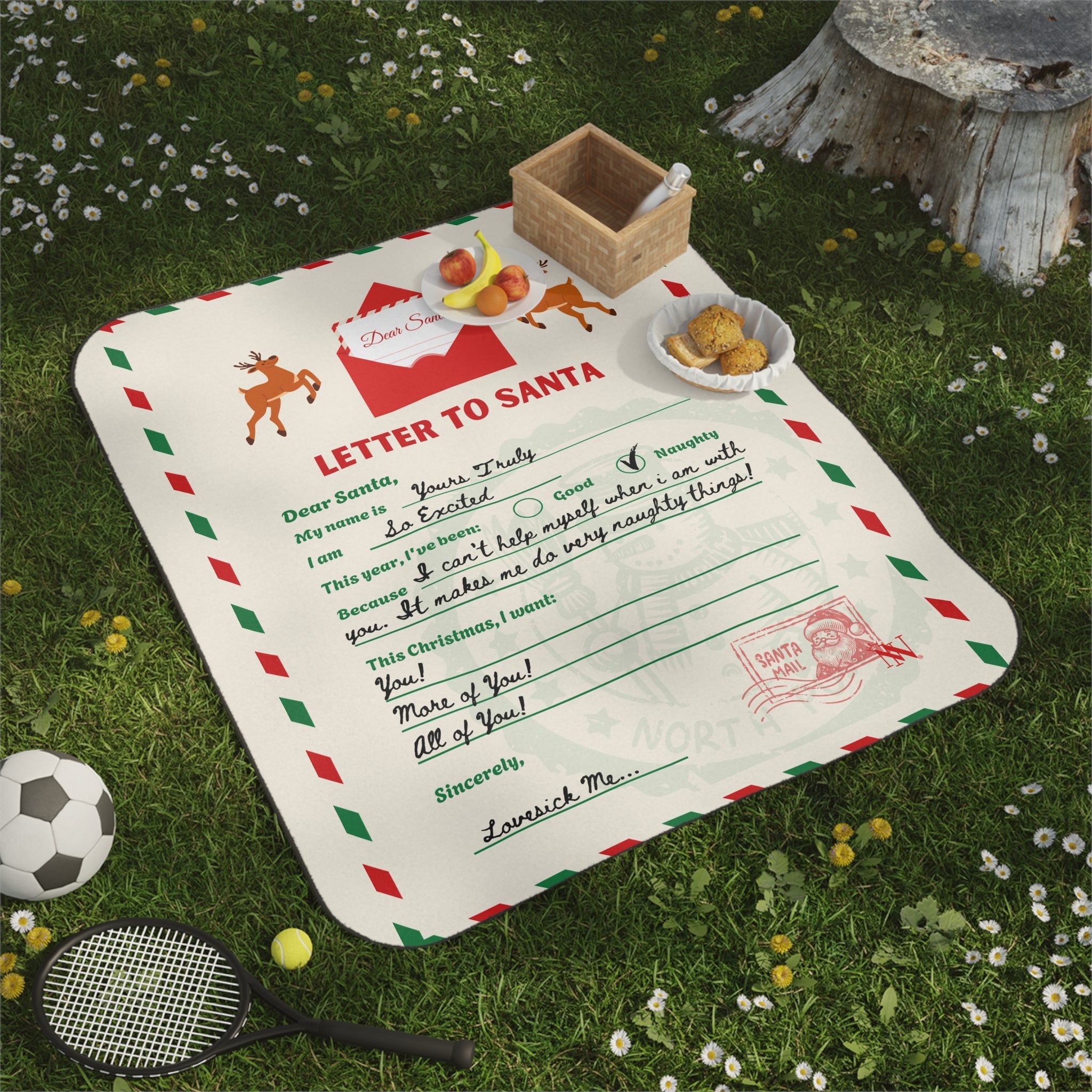 Letter to Santa | Mix Match Fun-Flirty Lovers’ Water-Resistant Blankets