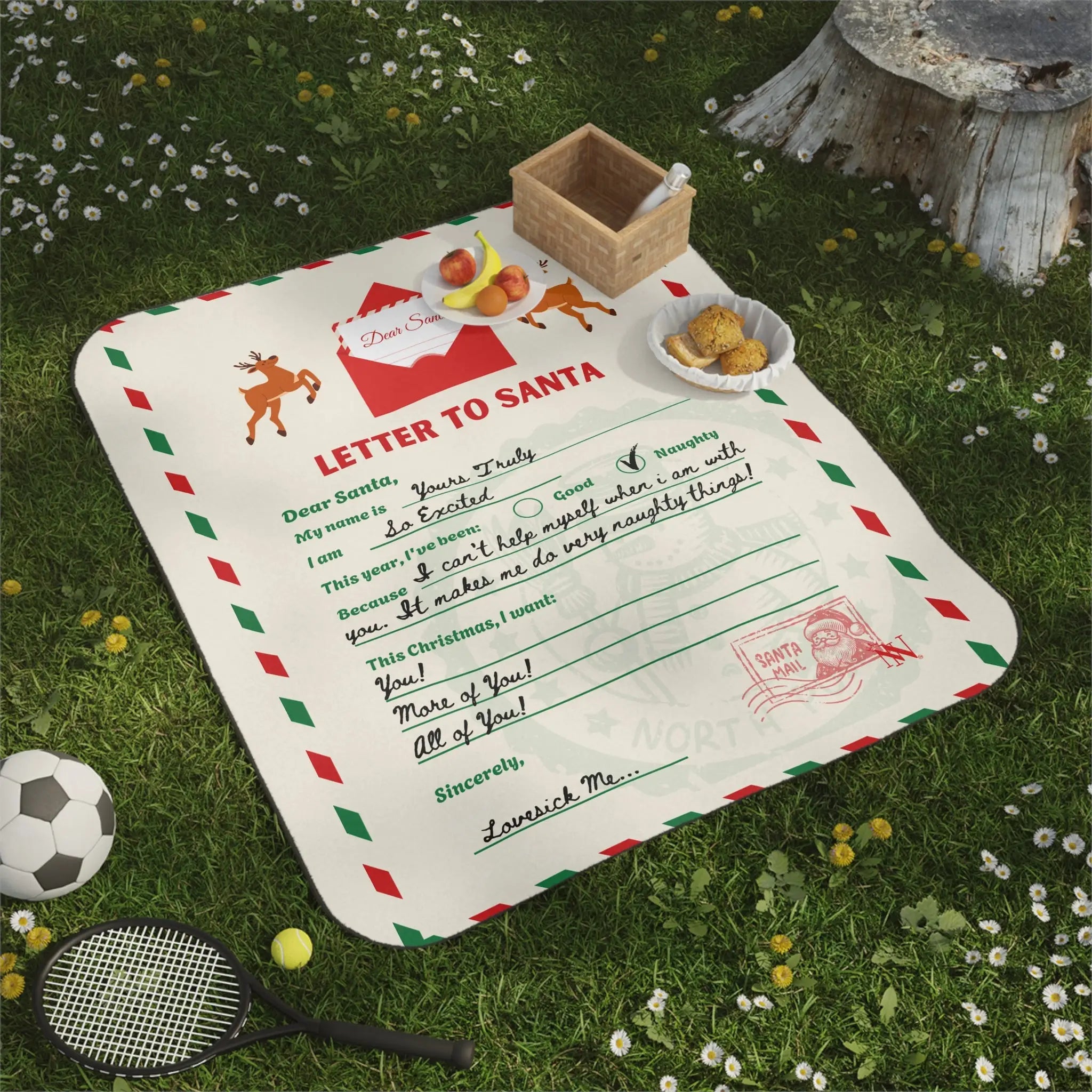 Letter to Santa | Mix Match Fun-Flirty Lovers’ Water-Resistant Blankets