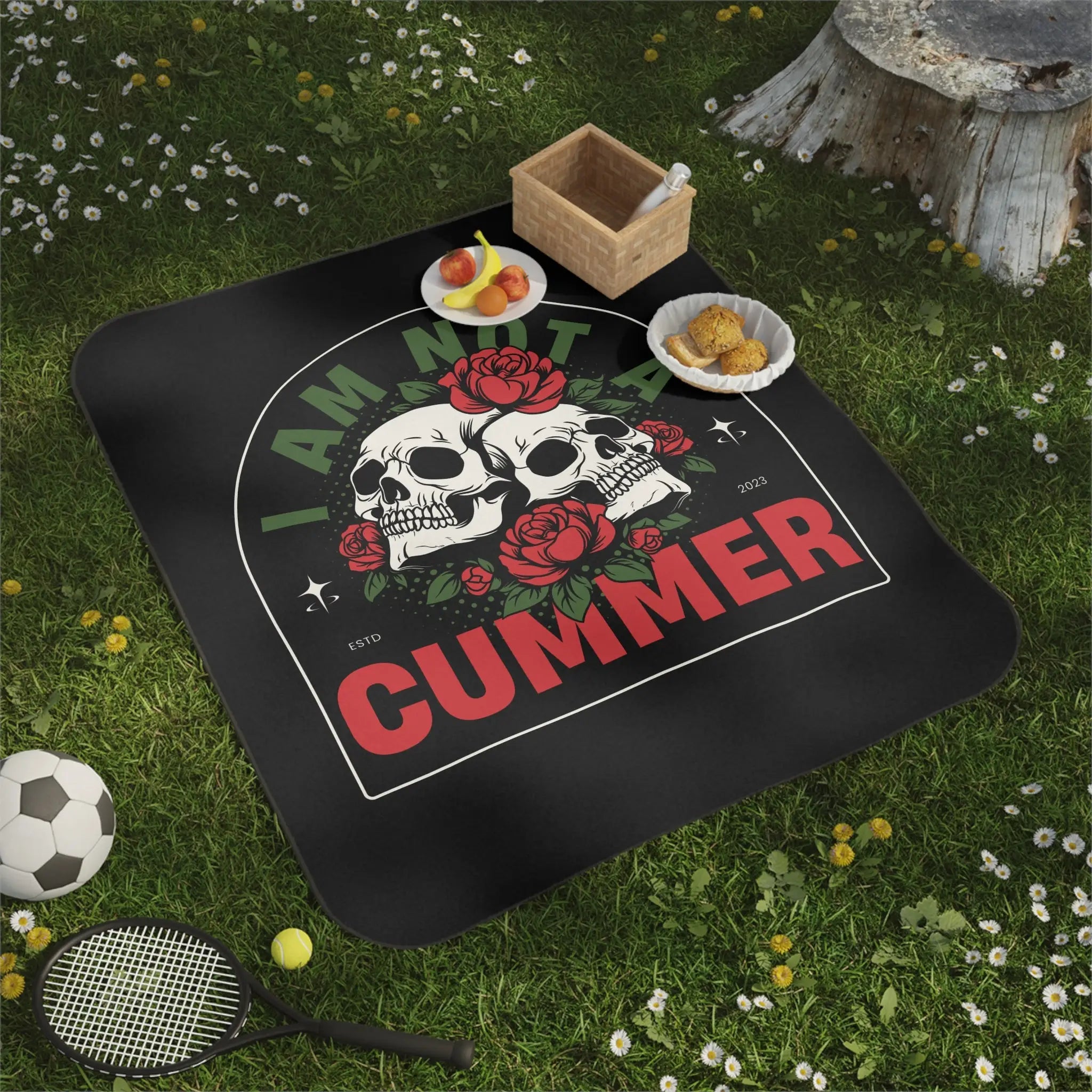 I Am Not a Cummer | Mix Match Fun-Flirty Lovers’ Water-Resistant Blankets