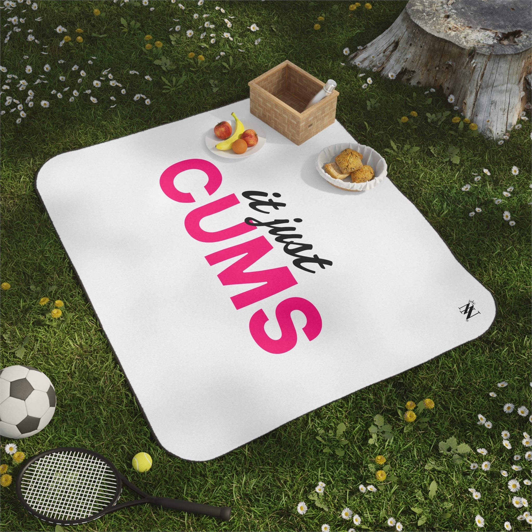 It Just Cums | Mix Match Fun-Flirty Lovers’ Water-Resistant Blankets