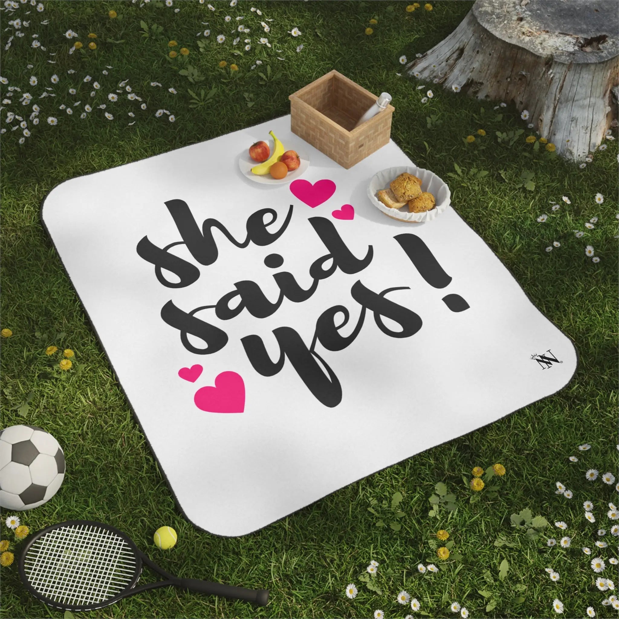 She Said Yes! | Mix Match Fun-Flirty Lovers’ Water-Resistant Blankets
