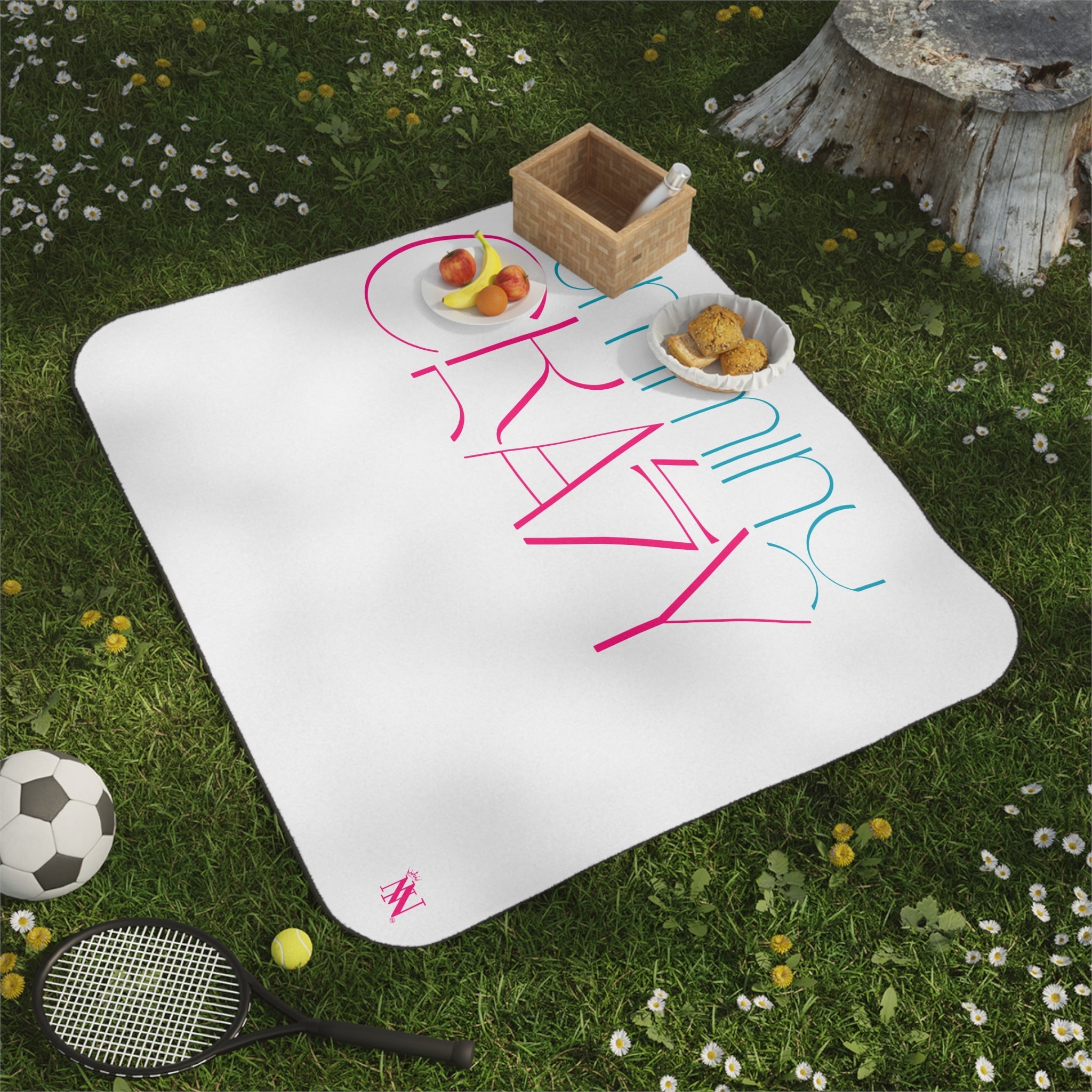 Cumming Crazy | Mix Match Fun-Flirty Lovers’ Water-Resistant Blankets