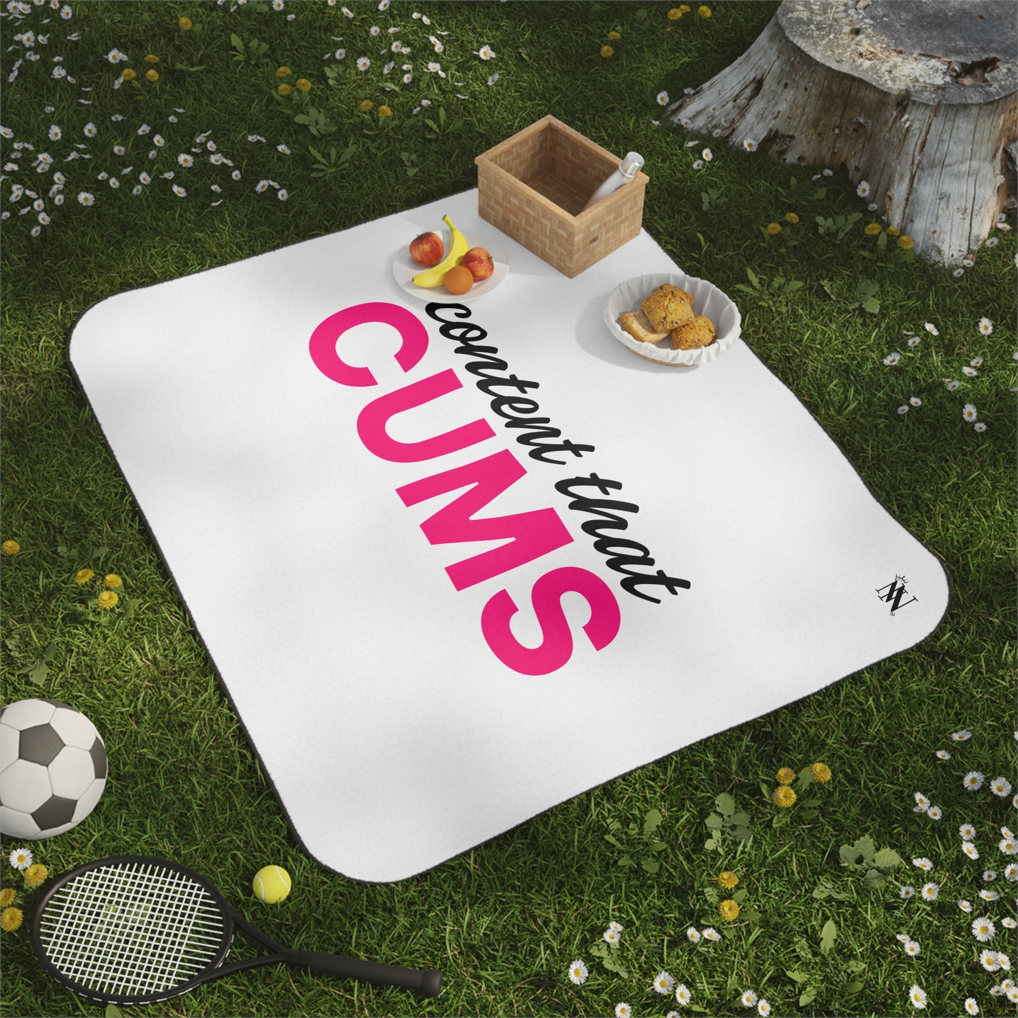 Content that Cums | Mix Match Fun-Flirty Lovers’ Water-Resistant Blankets
