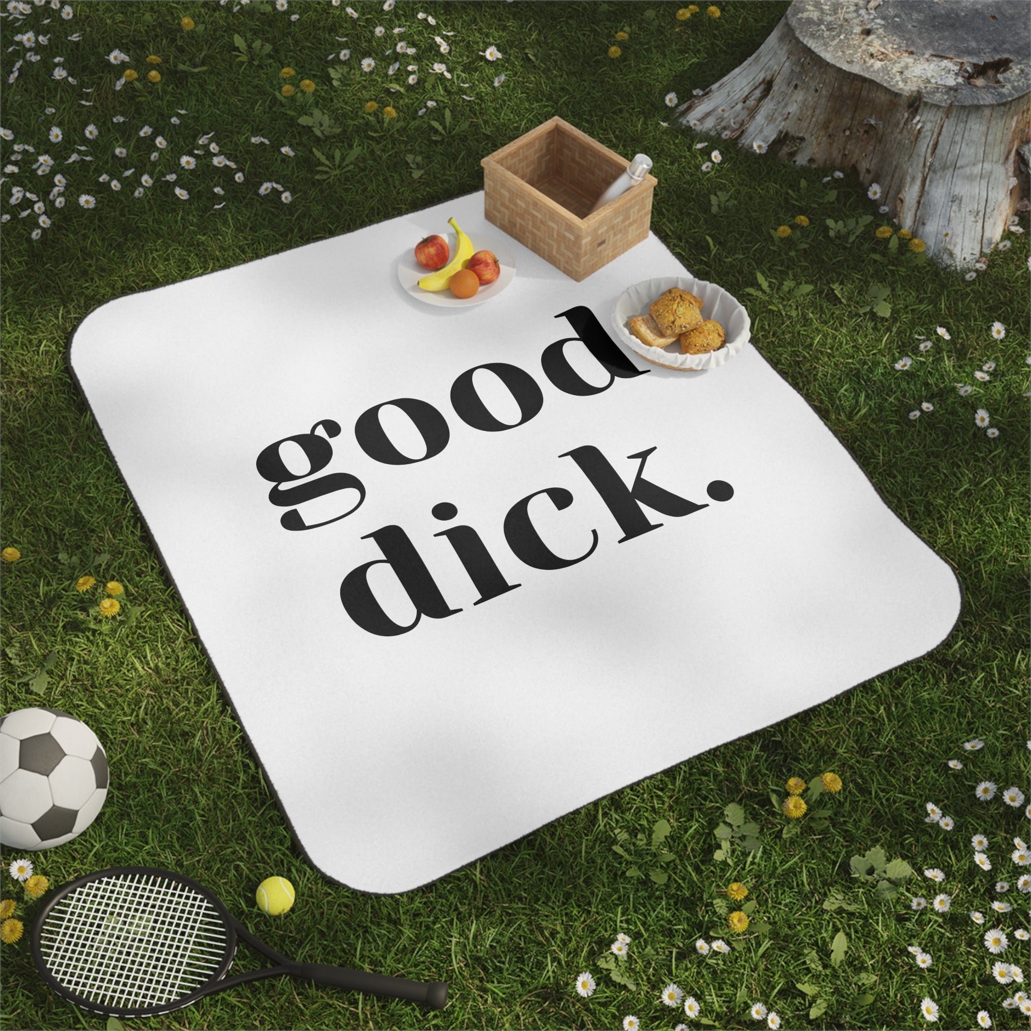 Good Dick. | Mix Match Fun-Flirty Lovers’ Water-Resistant Blankets