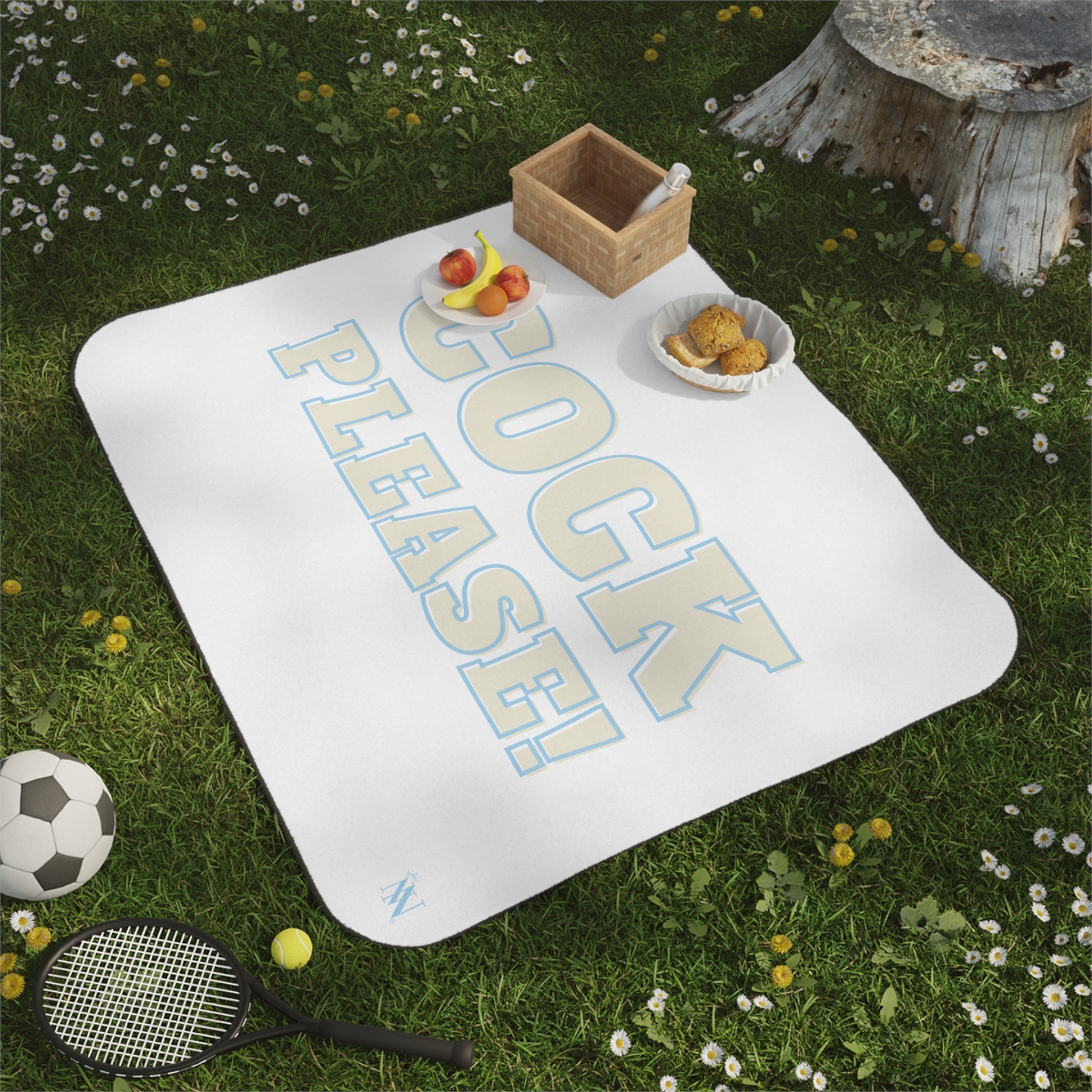 Cock Please! | Mix Match Fun-Flirty Lovers’ Water-Resistant Blankets