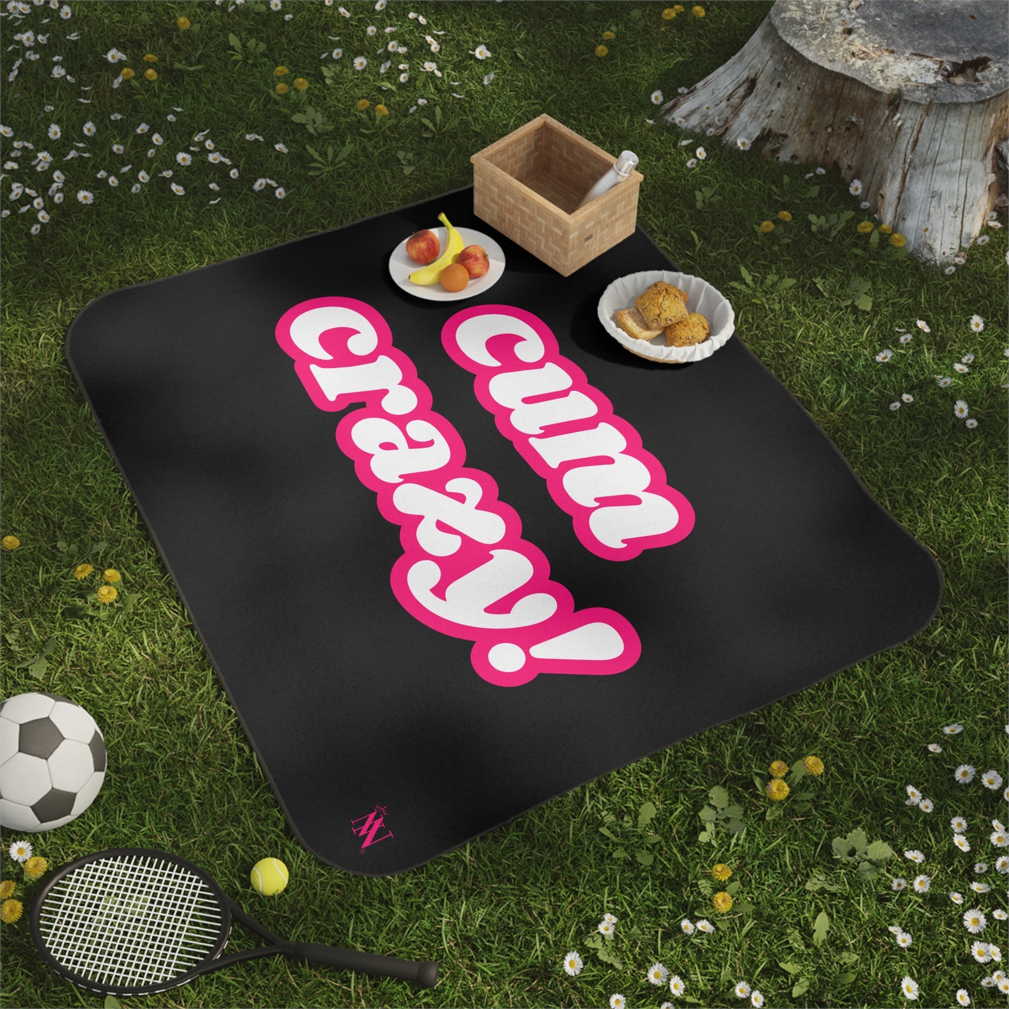 Cum Crazy! | Mix Match Fun-Flirty Lovers’ Water-Resistant Blankets