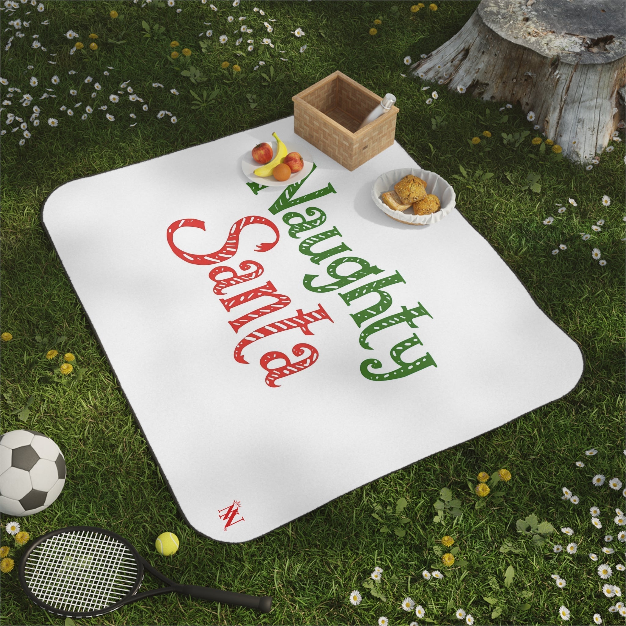 Naughty Santa | Mix Match Fun-Flirty Lovers’ Water-Resistant Blankets