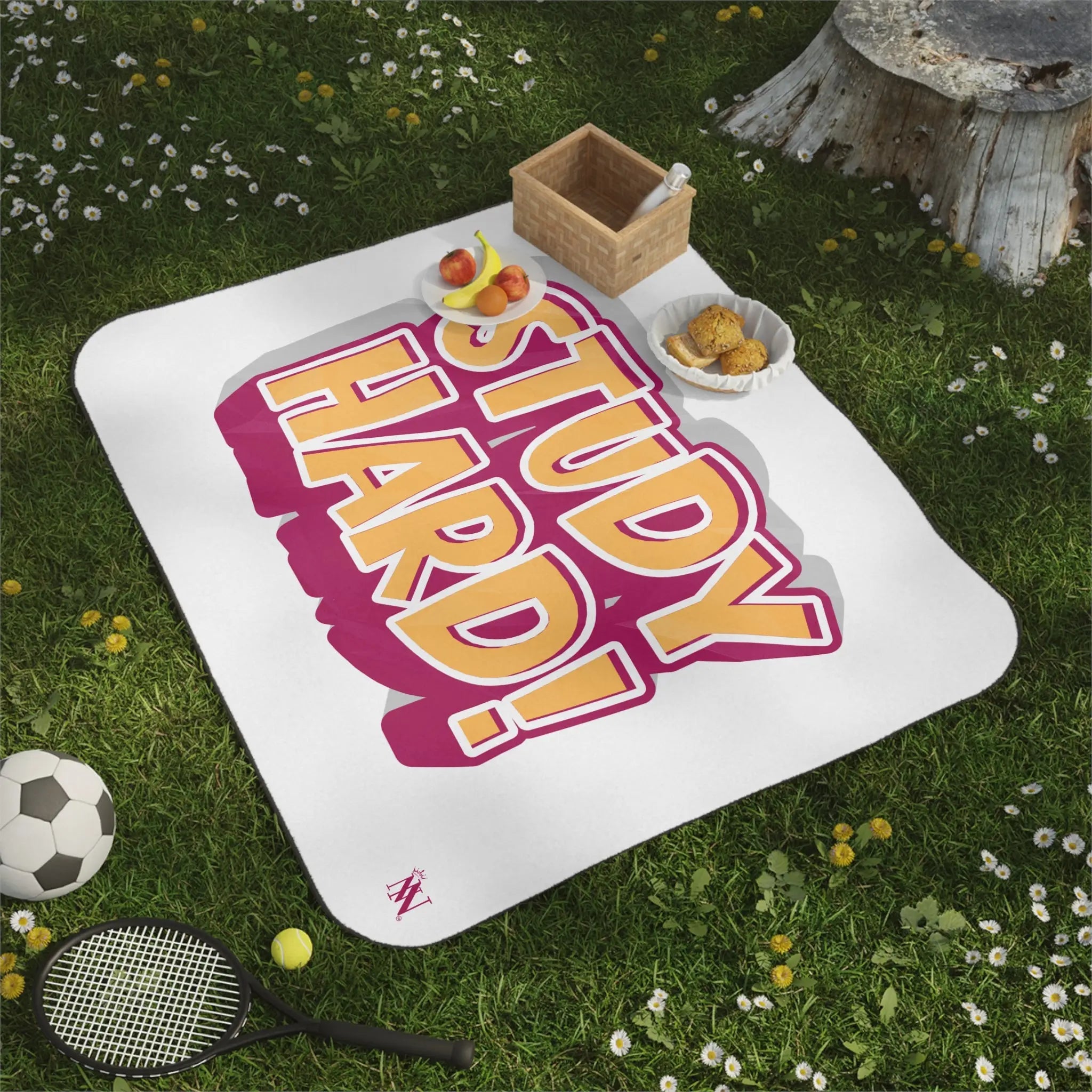 Study Hard! | Mix Match Fun-Flirty Lovers’ Water-Resistant Blankets