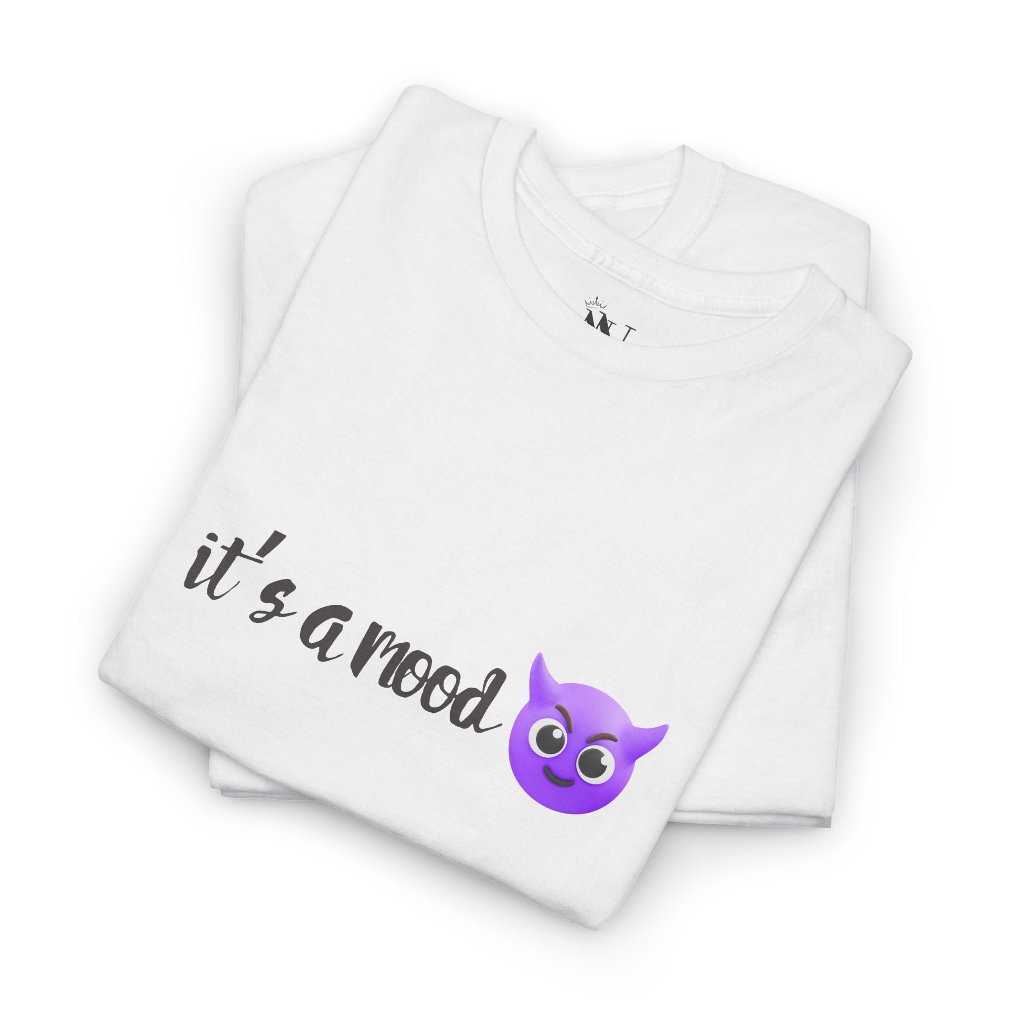 It’s a Mood Naughty | Mix & Match Cotton Unisex Fun-Flirty Lovers’ T-Shirts