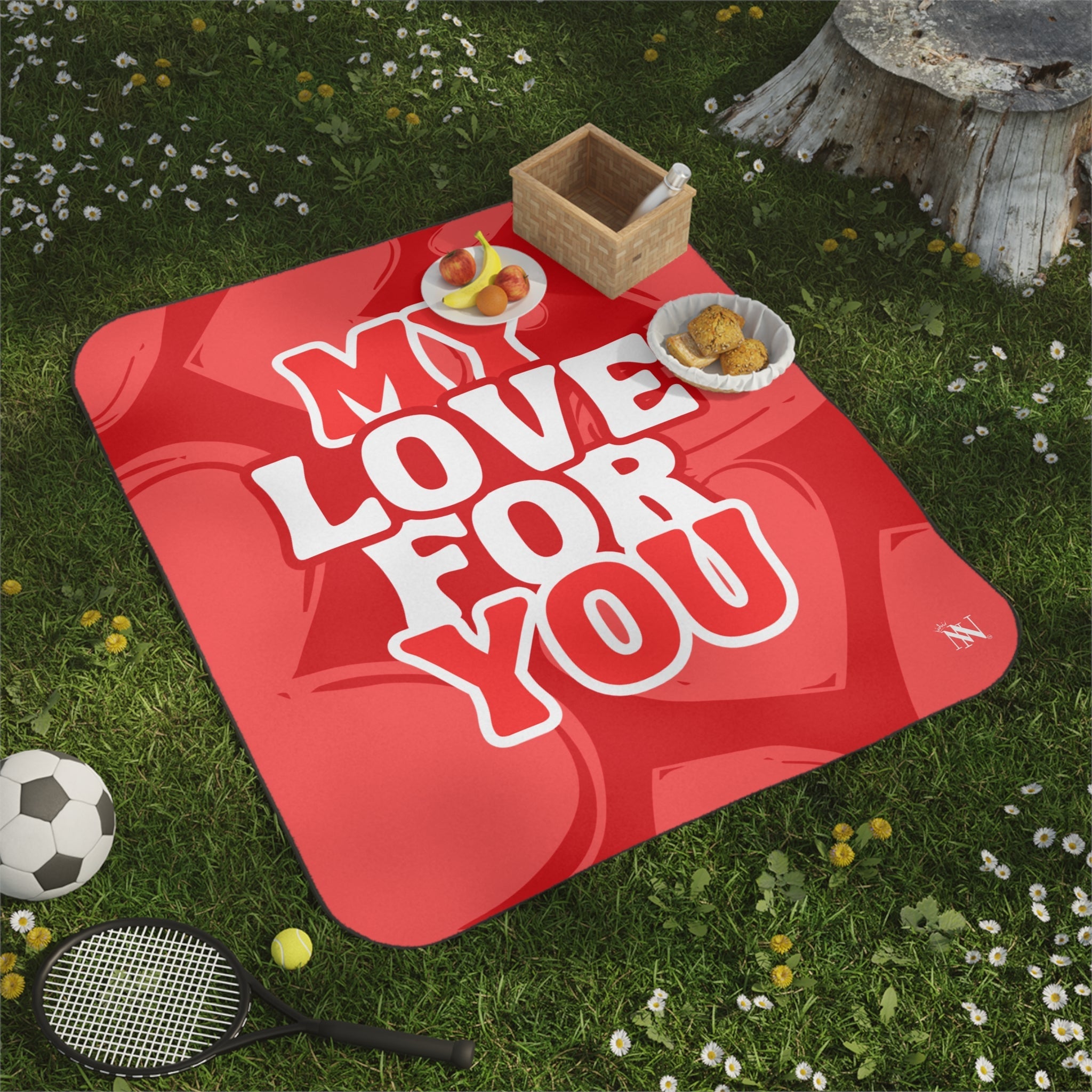 My Love for You Heart Pattern Sex Blanket