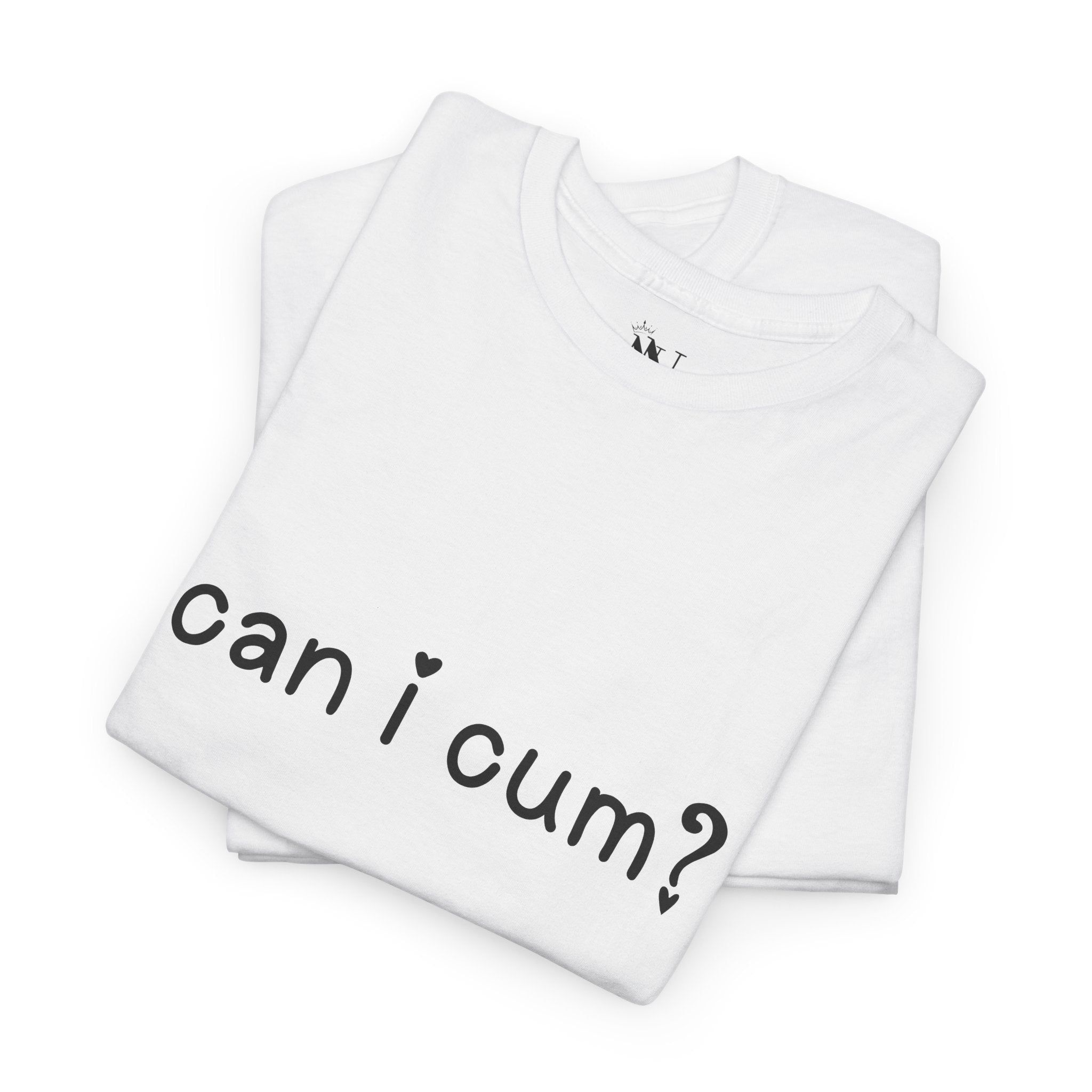 Can I Cum? | Mix & Match 100% Cotton Unisex Fun-Flirty Lovers’ Tees