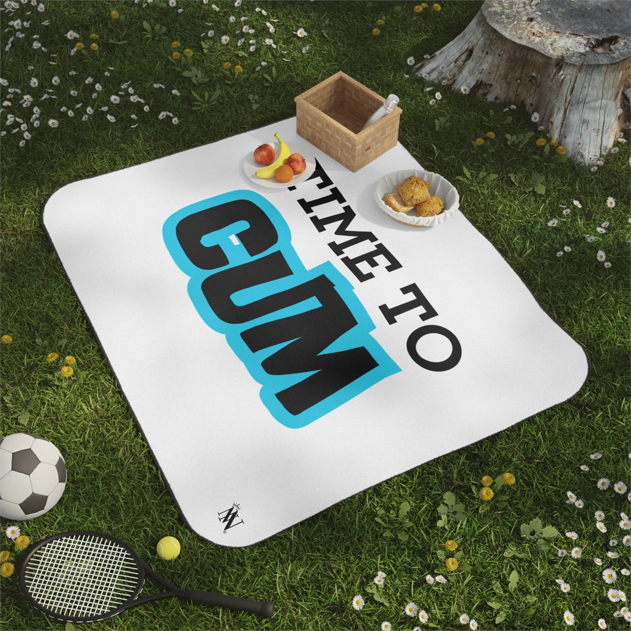 Time to Cum | Mix Match Fun-Flirty Lovers’ Water-Resistant Blankets