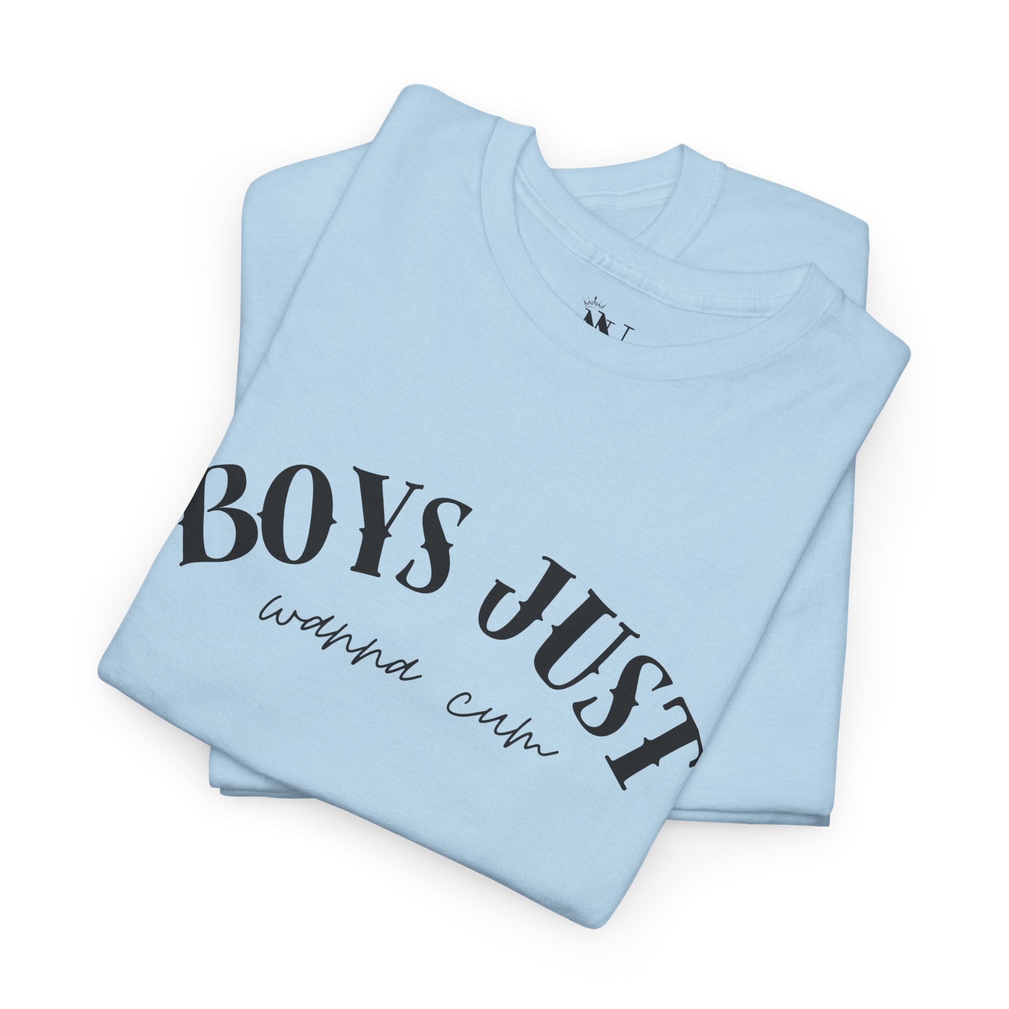 Boys Just Wanna | Mix & Match 100% Cotton Unisex Fun-Flirty Lovers’ Tees