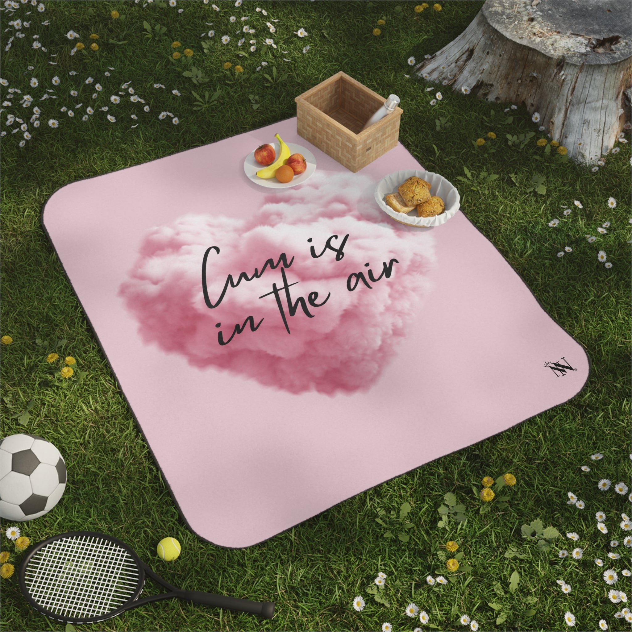 Cum is in the Air | Mix Match Fun-Flirty Lovers’ Water-Resistant Blankets