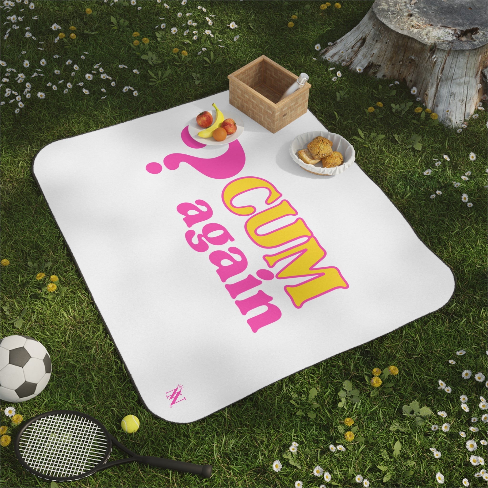 ? Cum Again | Mix Match Fun-Flirty Lovers’ Water-Resistant Blankets