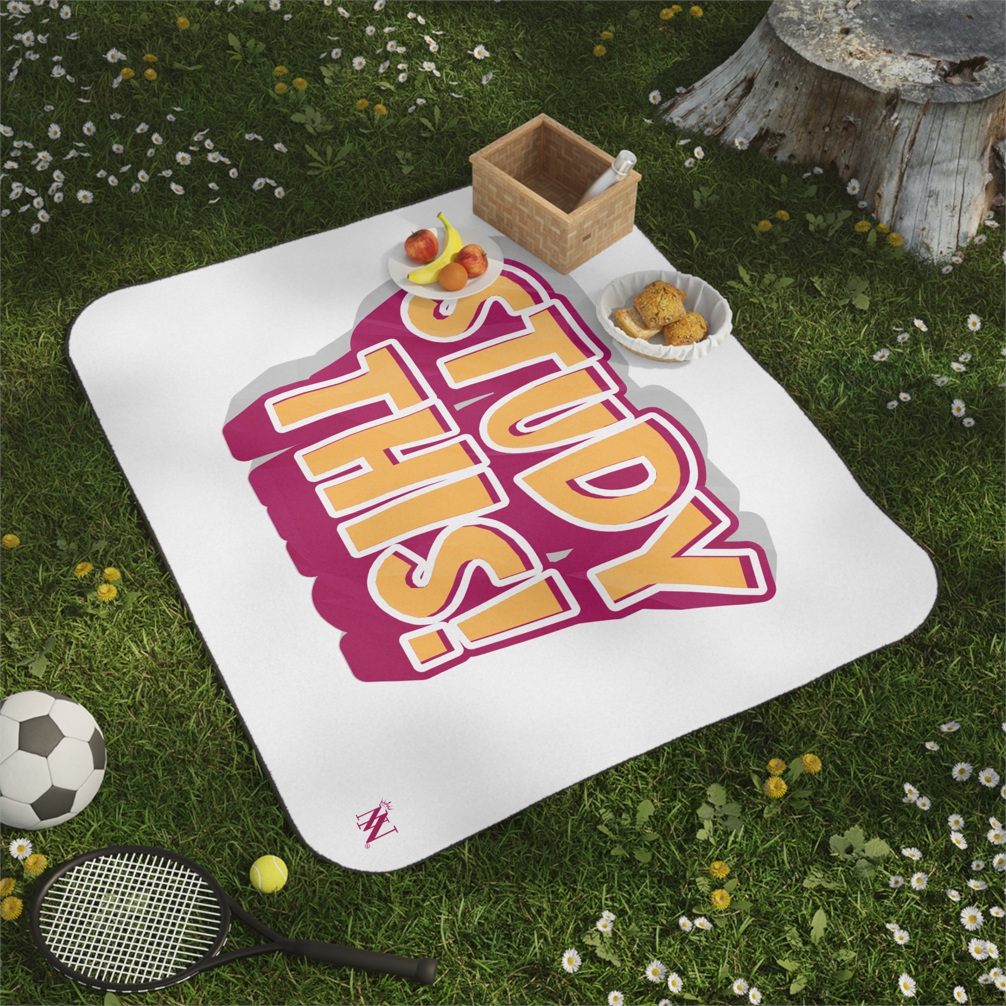 Study This! | Mix Match Fun-Flirty Lovers’ Water-Resistant Blankets