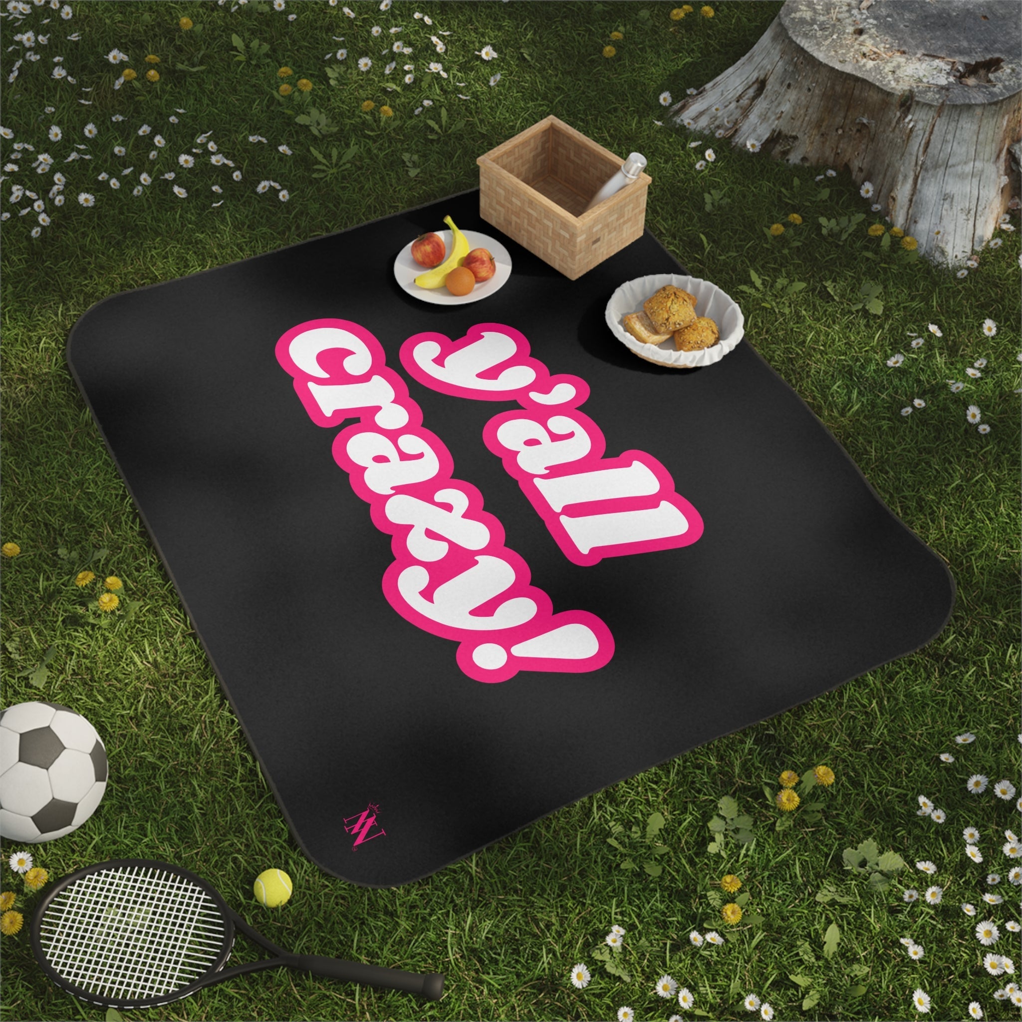 Y’all Crazy! | Mix Match Fun-Flirty Lovers’ Water-Resistant Blankets