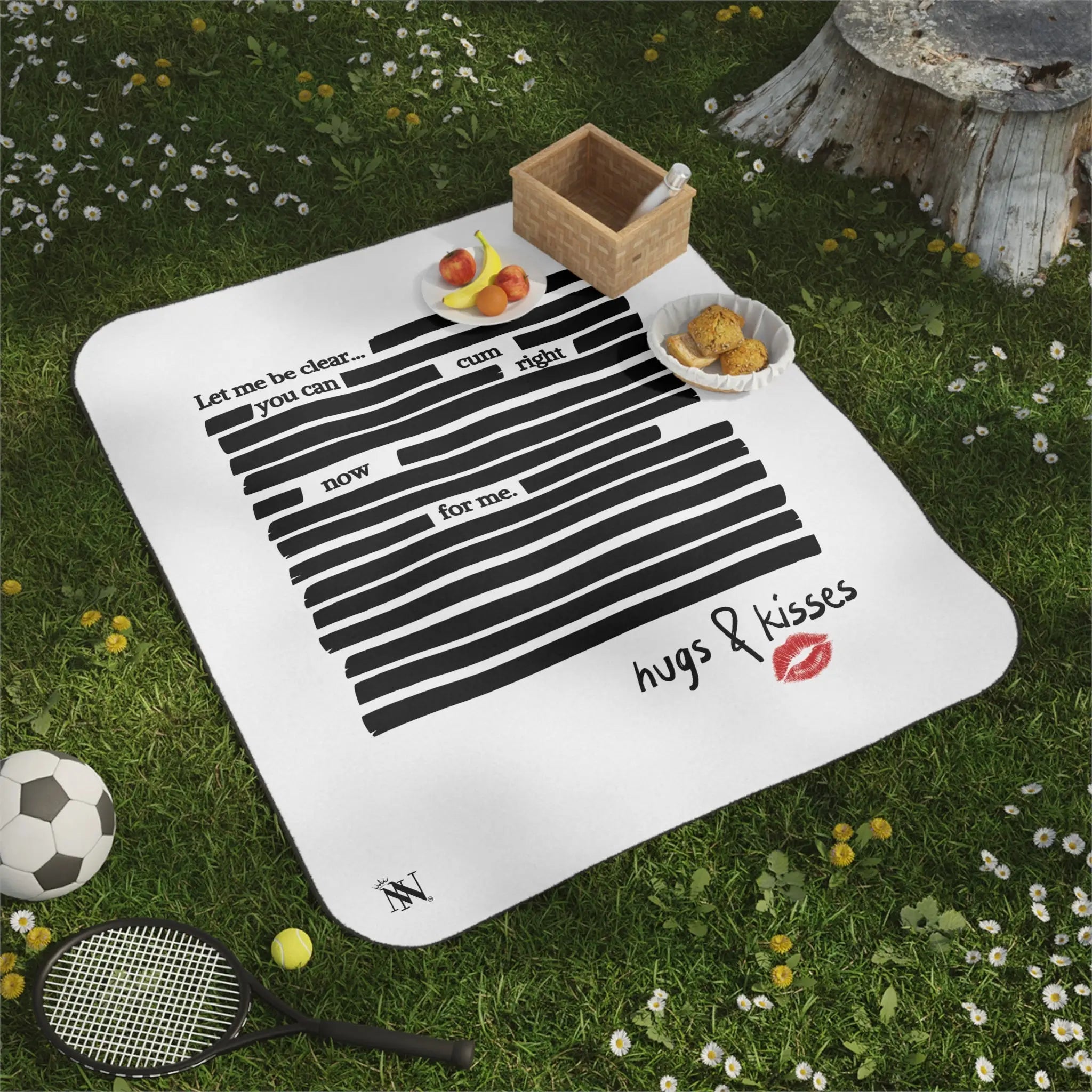 Let Me Be Clear... | Mix Match Fun-Flirty Lovers’ Water-Resistant Blankets