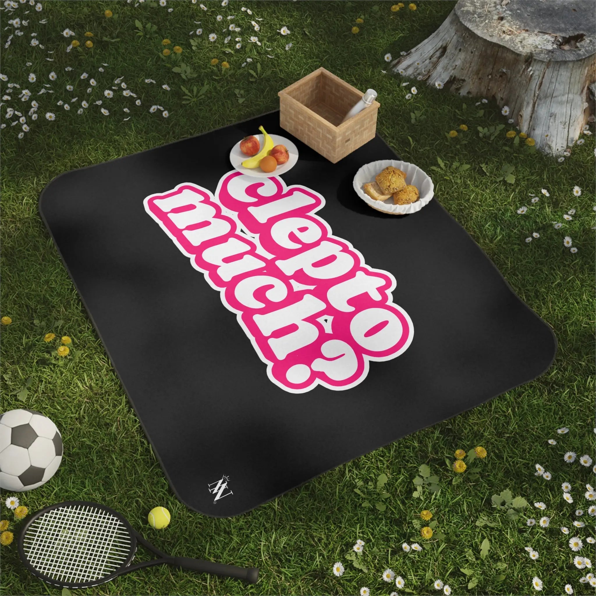 Clepto Much? | Mix Match Fun-Flirty Lovers’ Water-Resistant Blankets