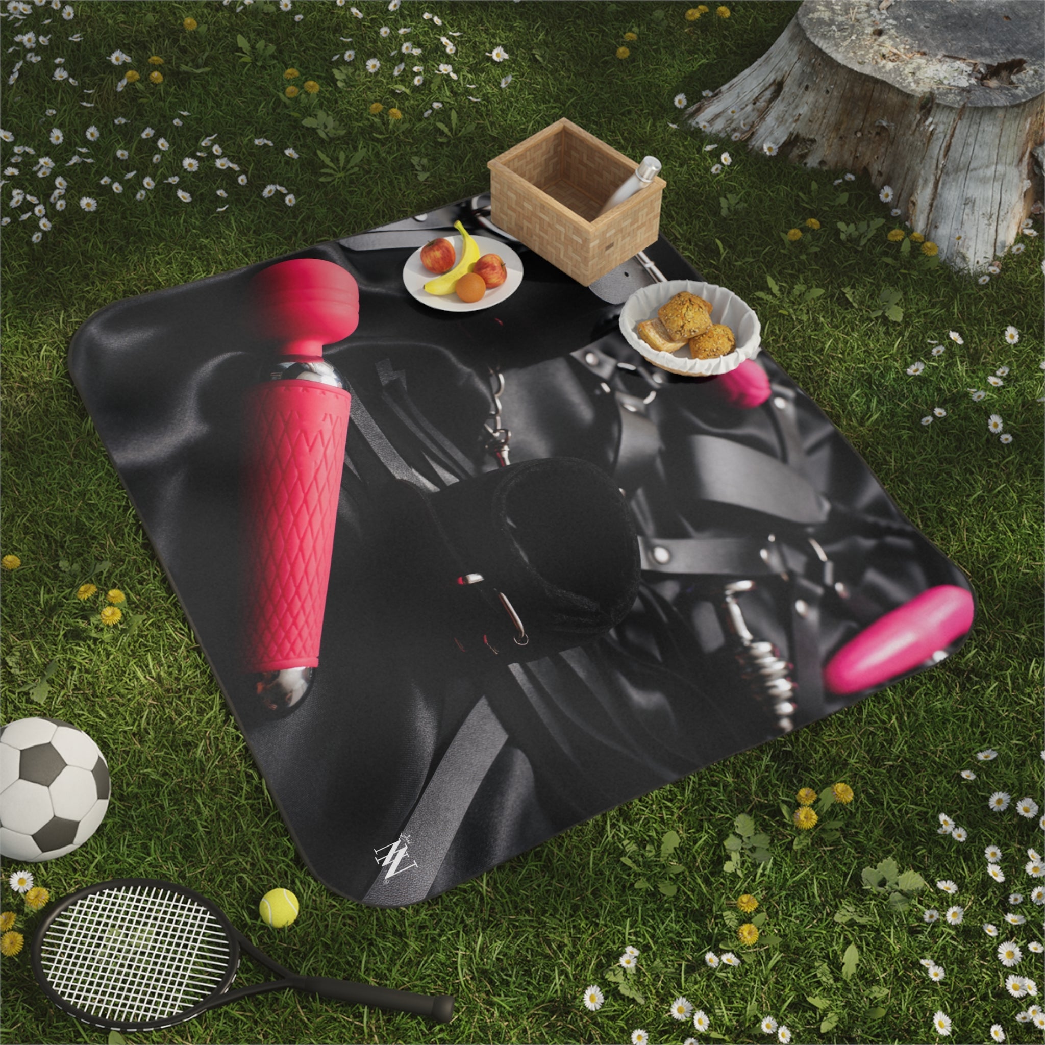 Sex Toys & Cuffs Photograph Sex Blanket