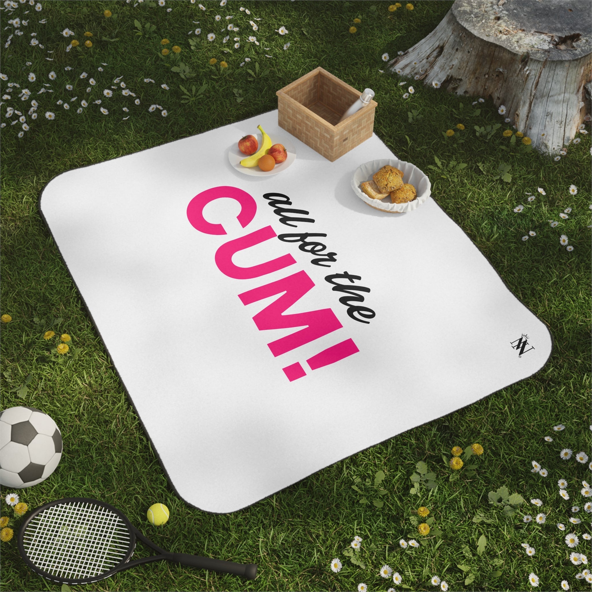 All for the Cum! | Mix Match Fun-Flirty Lovers’ Water-Resistant Blankets