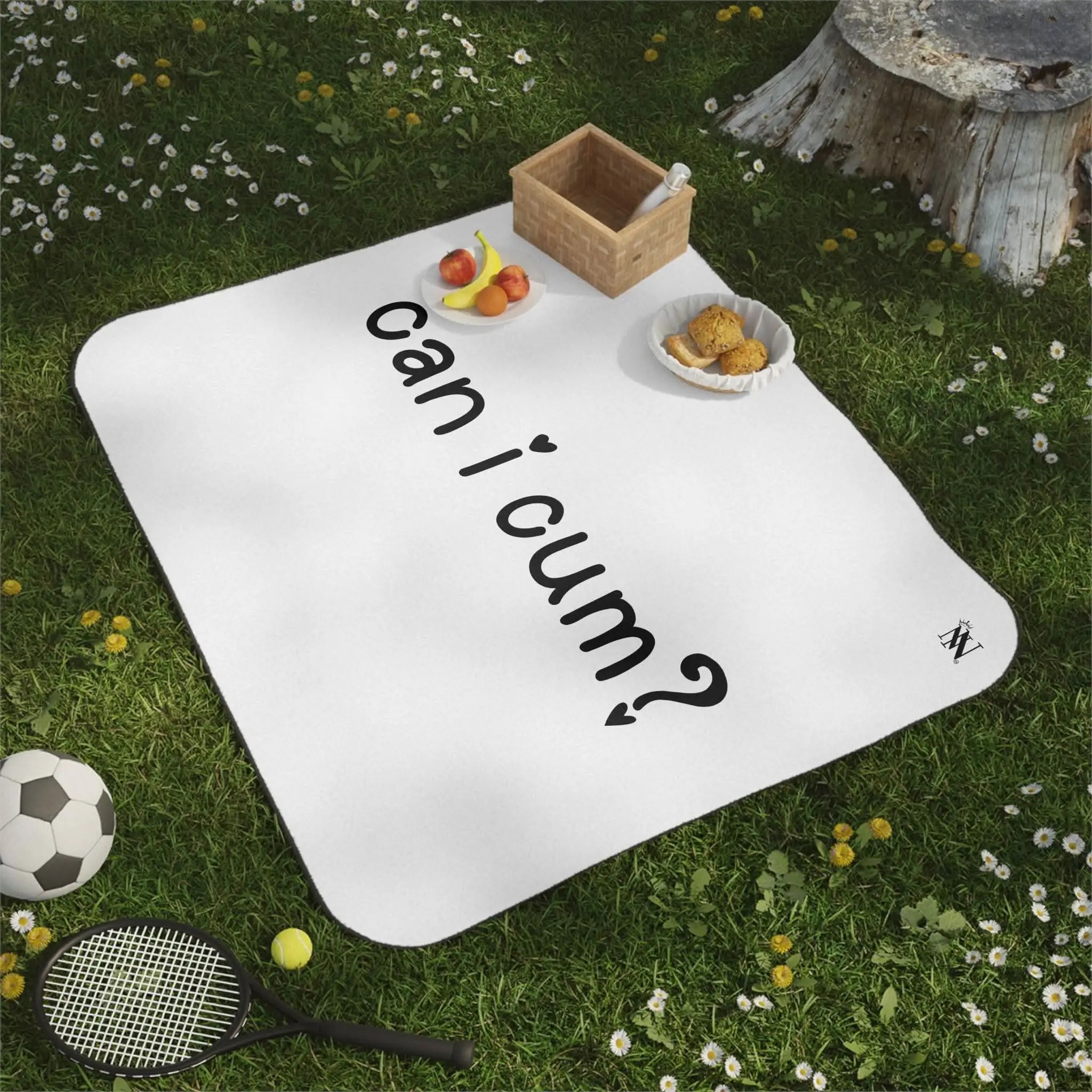 White picnic blanket.