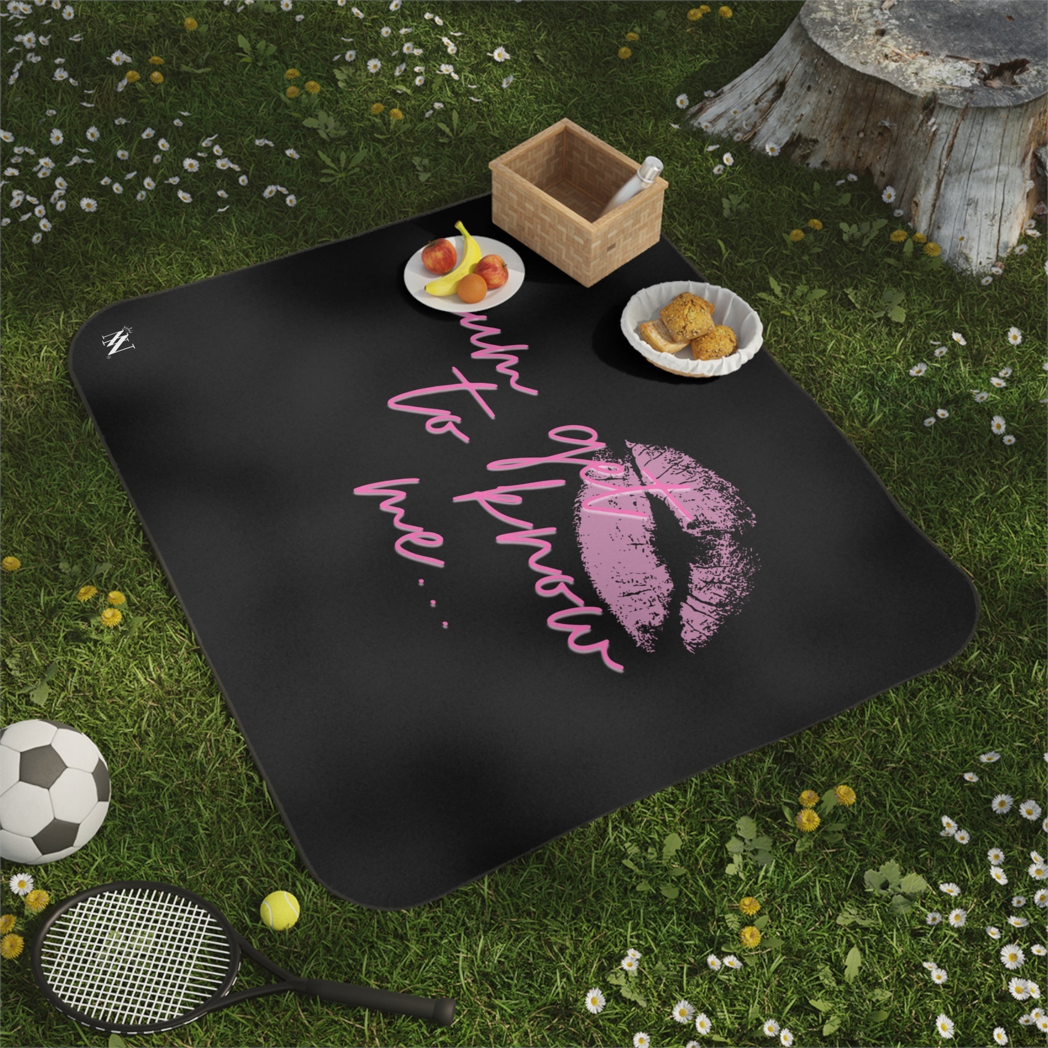 Cum Get to Know Me! | Mix Match Fun-Flirty Lovers’ Water-Resistant Blankets