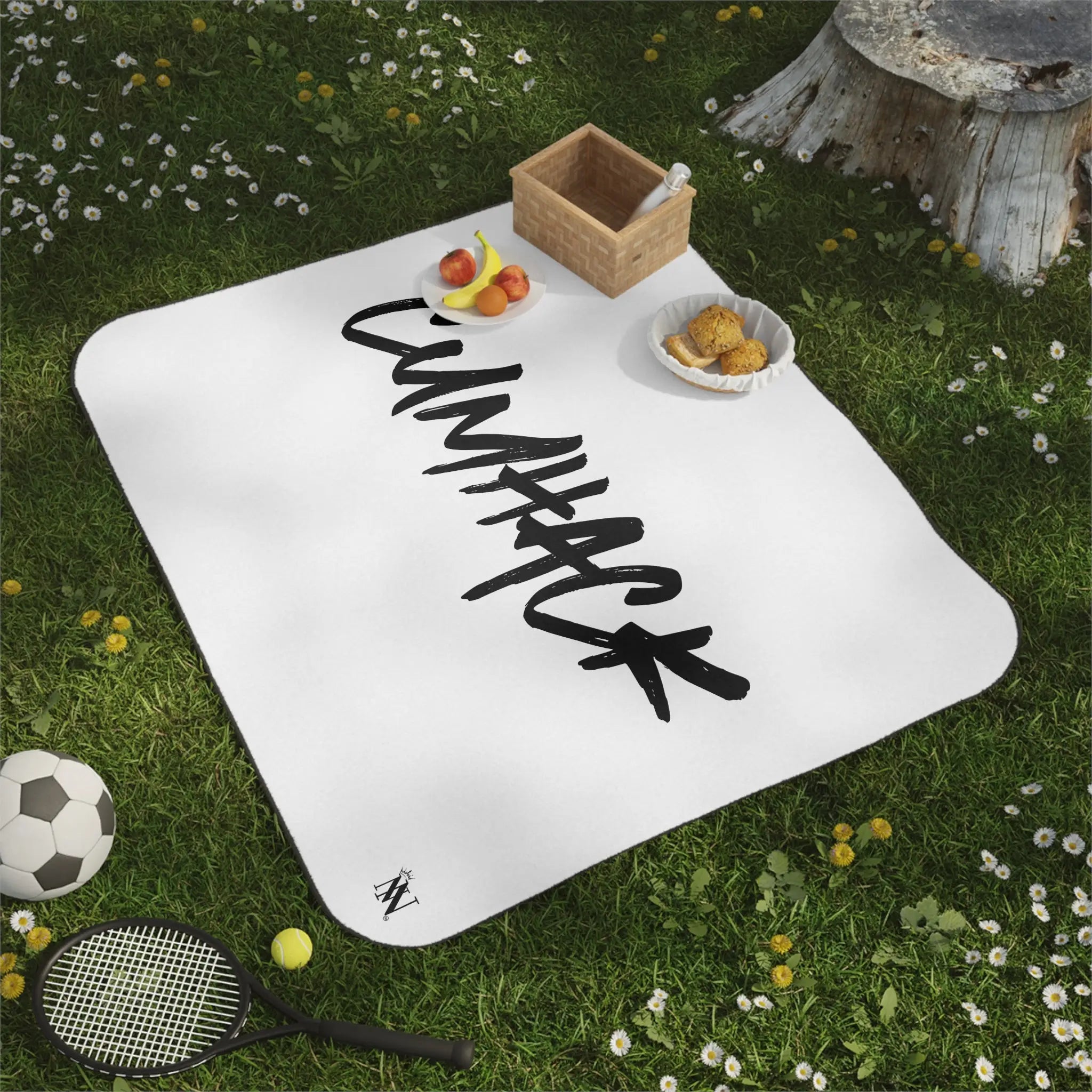 Cum Hack | Mix Match Fun-Flirty Lovers’ Water-Resistant Blankets