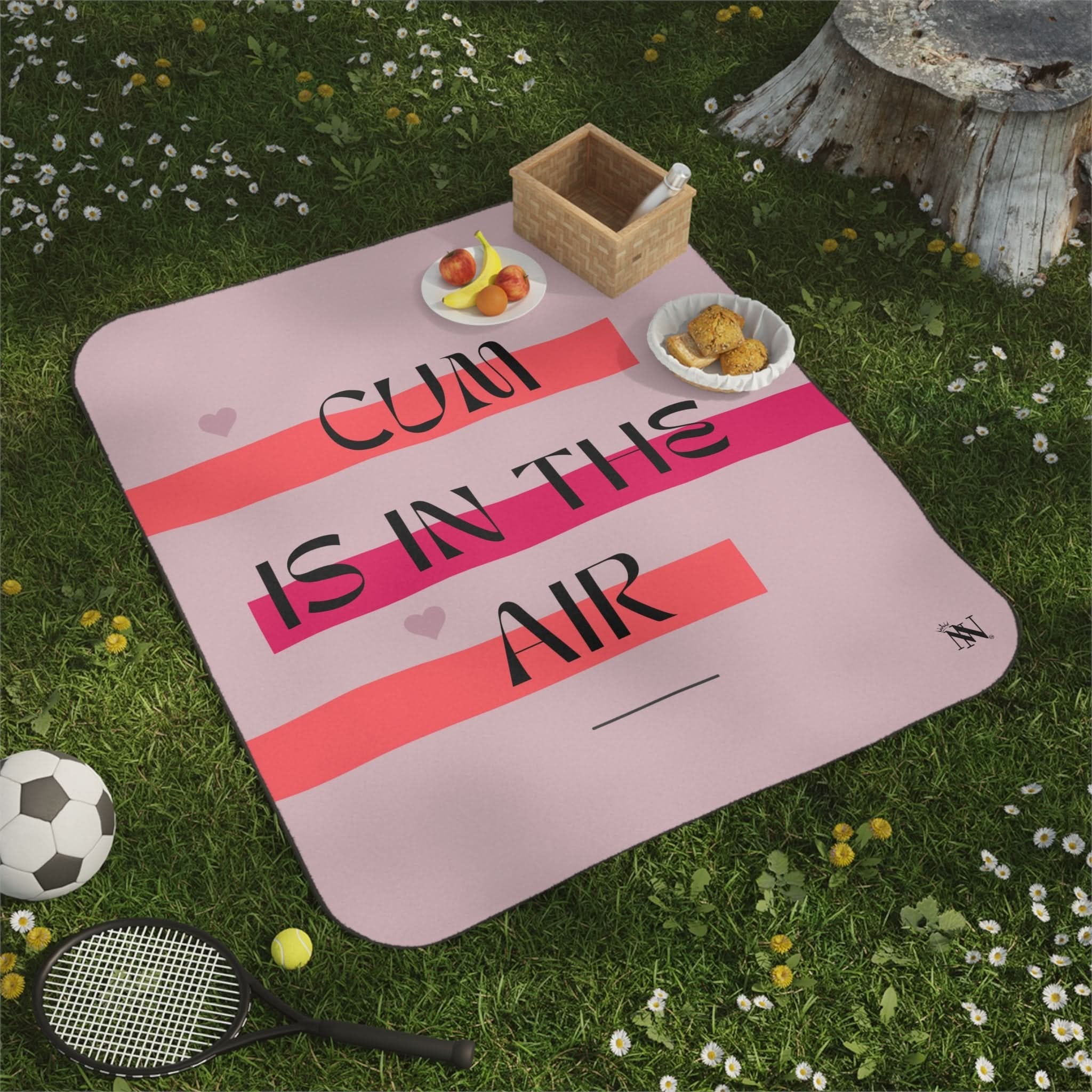 Cum is in the Air | Mix Match Fun-Flirty Lovers’ Water-Resistant Blankets
