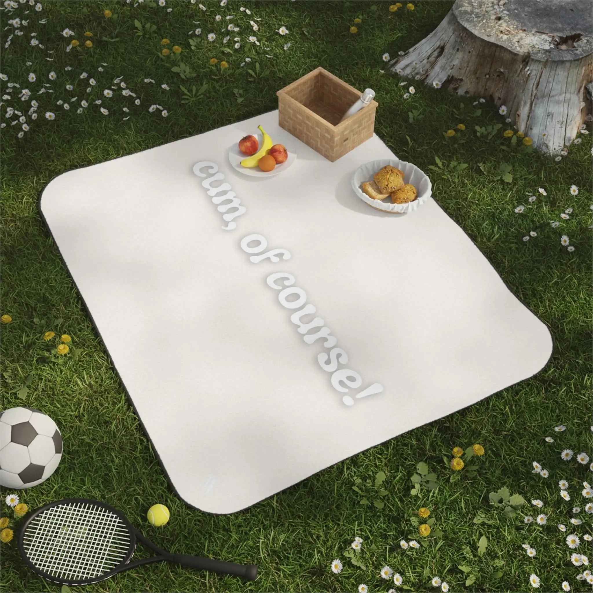 Cum of Course! | Mix Match Fun-Flirty Lovers’ Water-Resistant Blankets