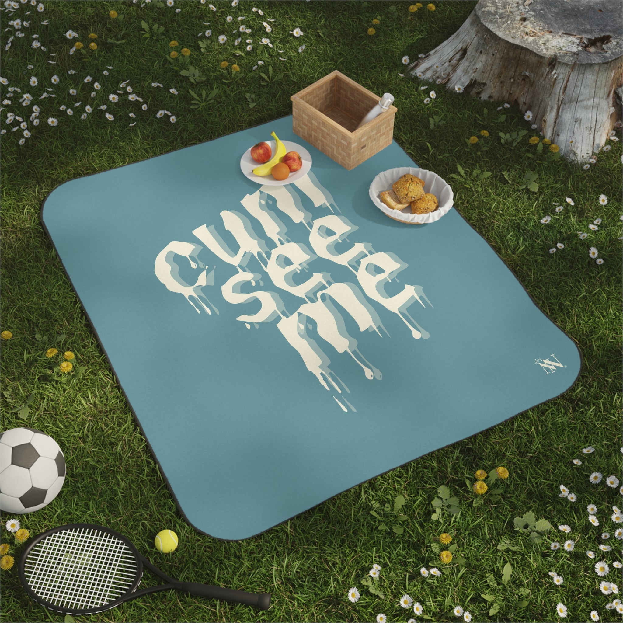 Cum See Me | Mix Match Fun-Flirty Lovers’ Water-Resistant Blankets