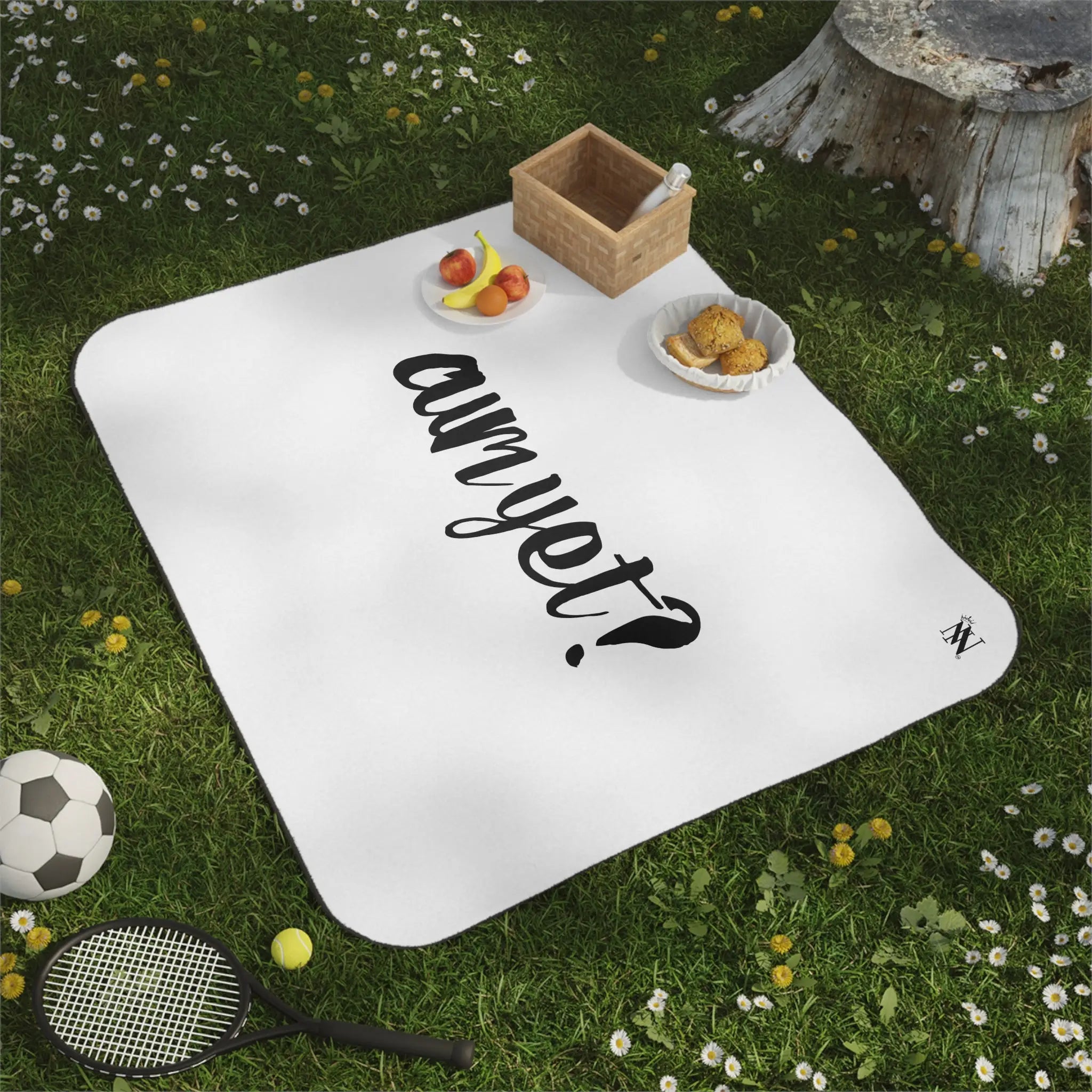 Cum Yet? | Mix Match Fun-Flirty Lovers’ Water-Resistant Blankets