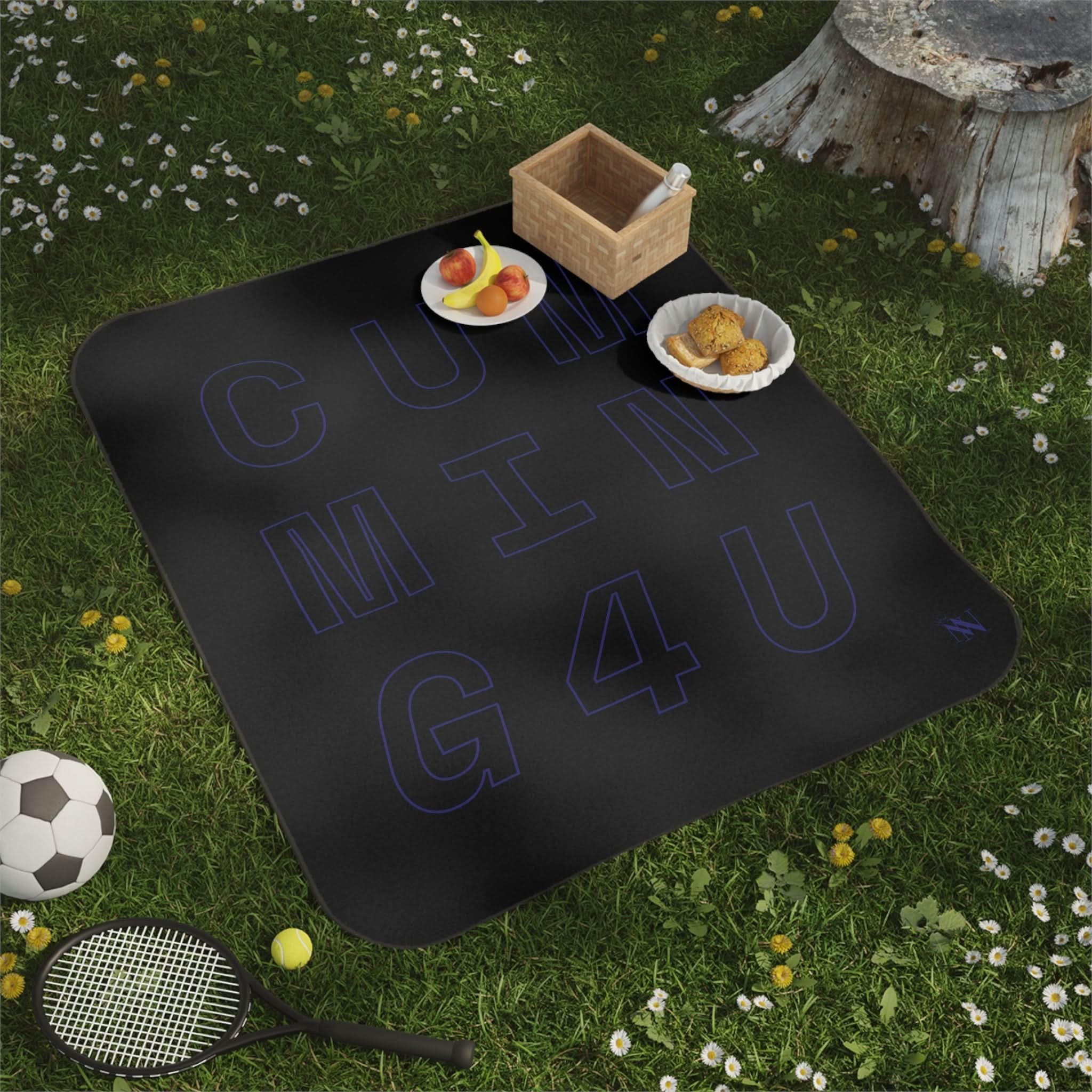 Cumming 4 U | Mix Match Fun-Flirty Lovers’ Water-Resistant Blankets