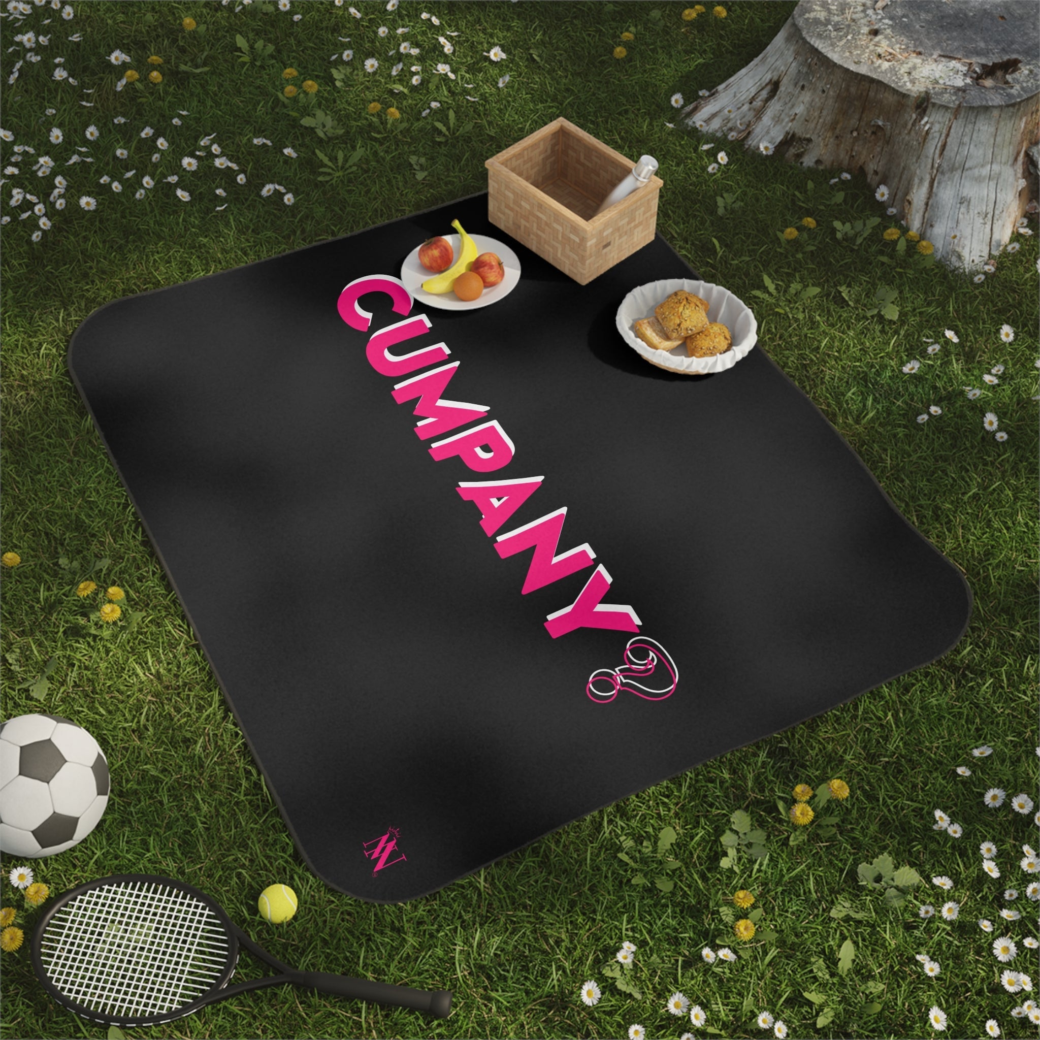 Cumpany? | Mix Match Fun-Flirty Lovers’ Water-Resistant Blankets