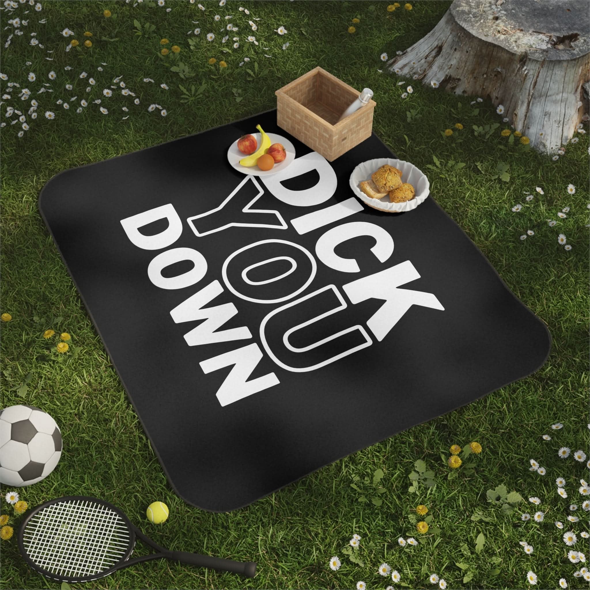 Dick You Down | Mix Match Fun-Flirty Lovers’ Water-Resistant Blankets