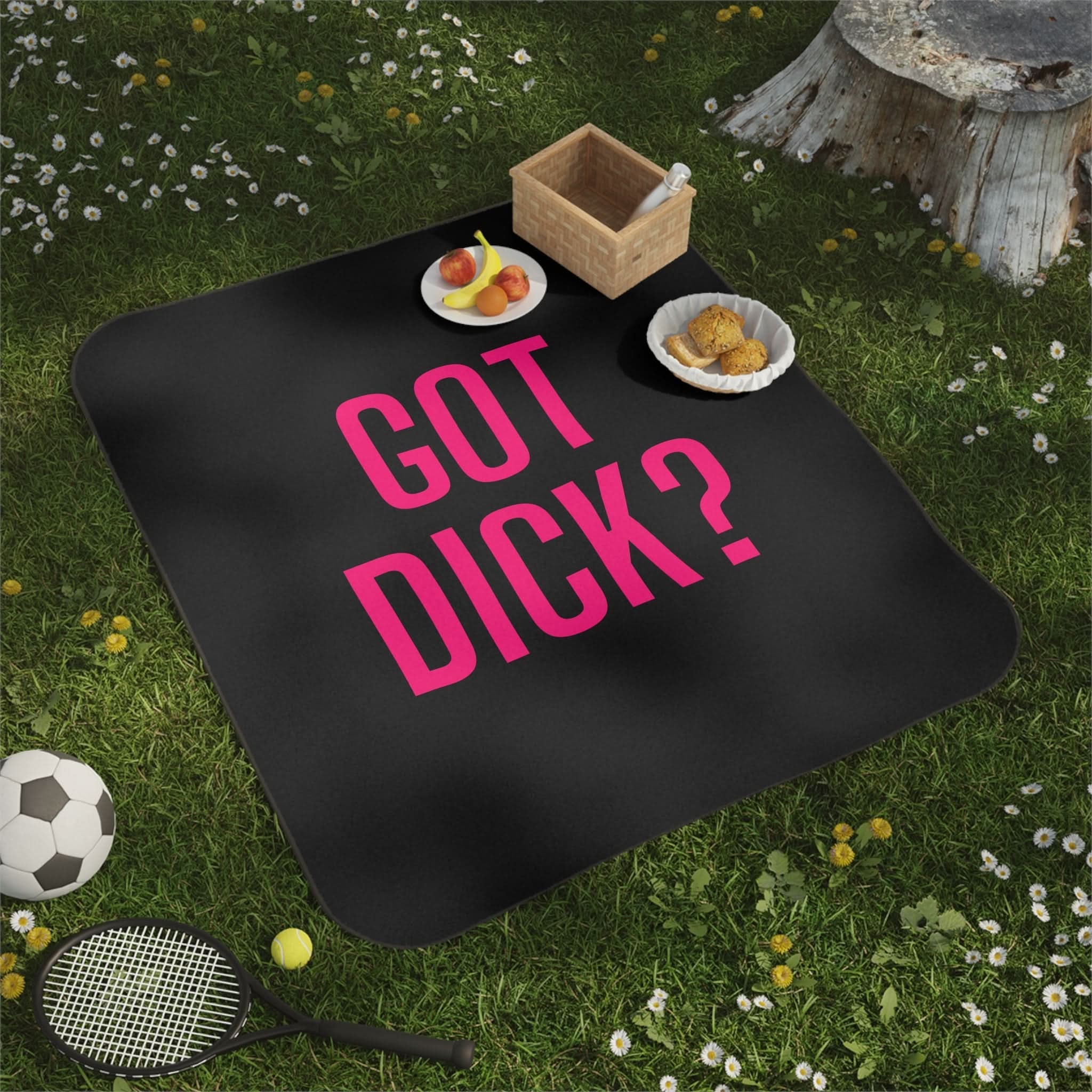 Got Dick? | Mix Match Fun-Flirty Lovers’ Water-Resistant Blankets