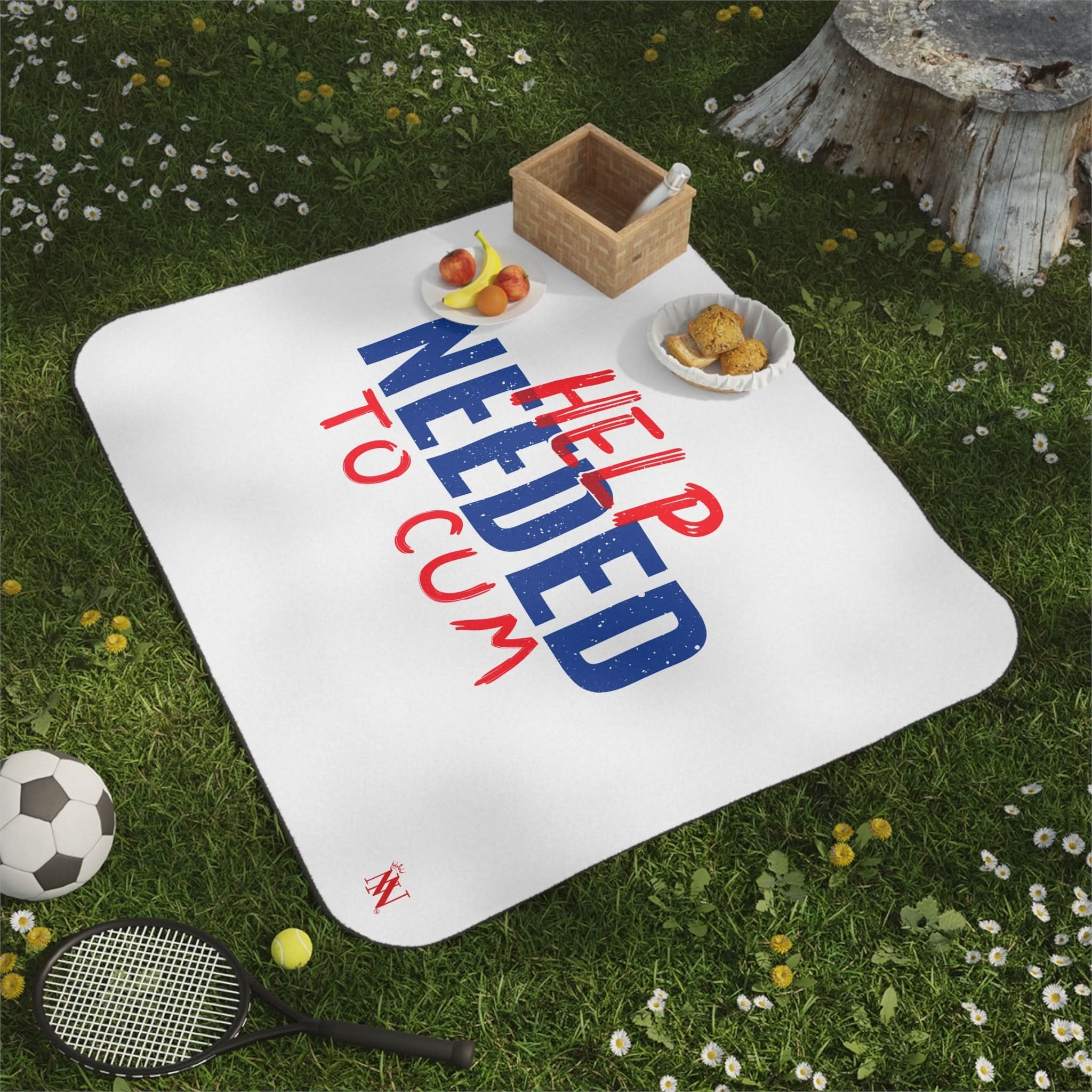 Help Needed to Cum | Mix Match Fun-Flirty Lovers’ Water-Resistant Blankets