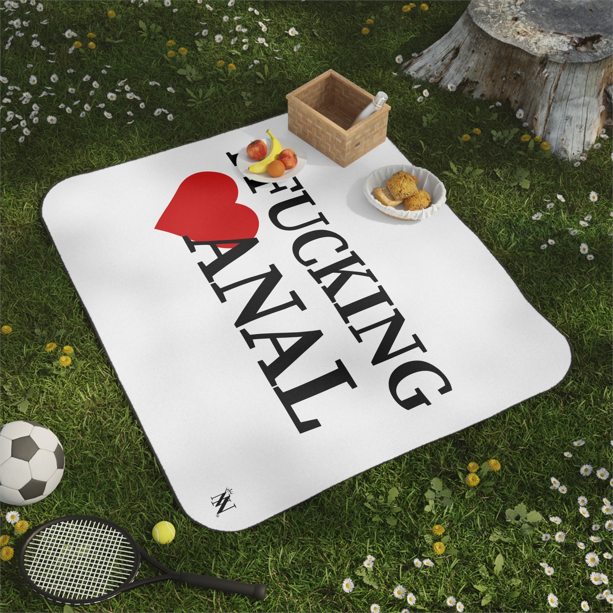 I Fucking Love Anal | Mix Match Fun-Flirty Lovers’ Water-Resistant Blankets