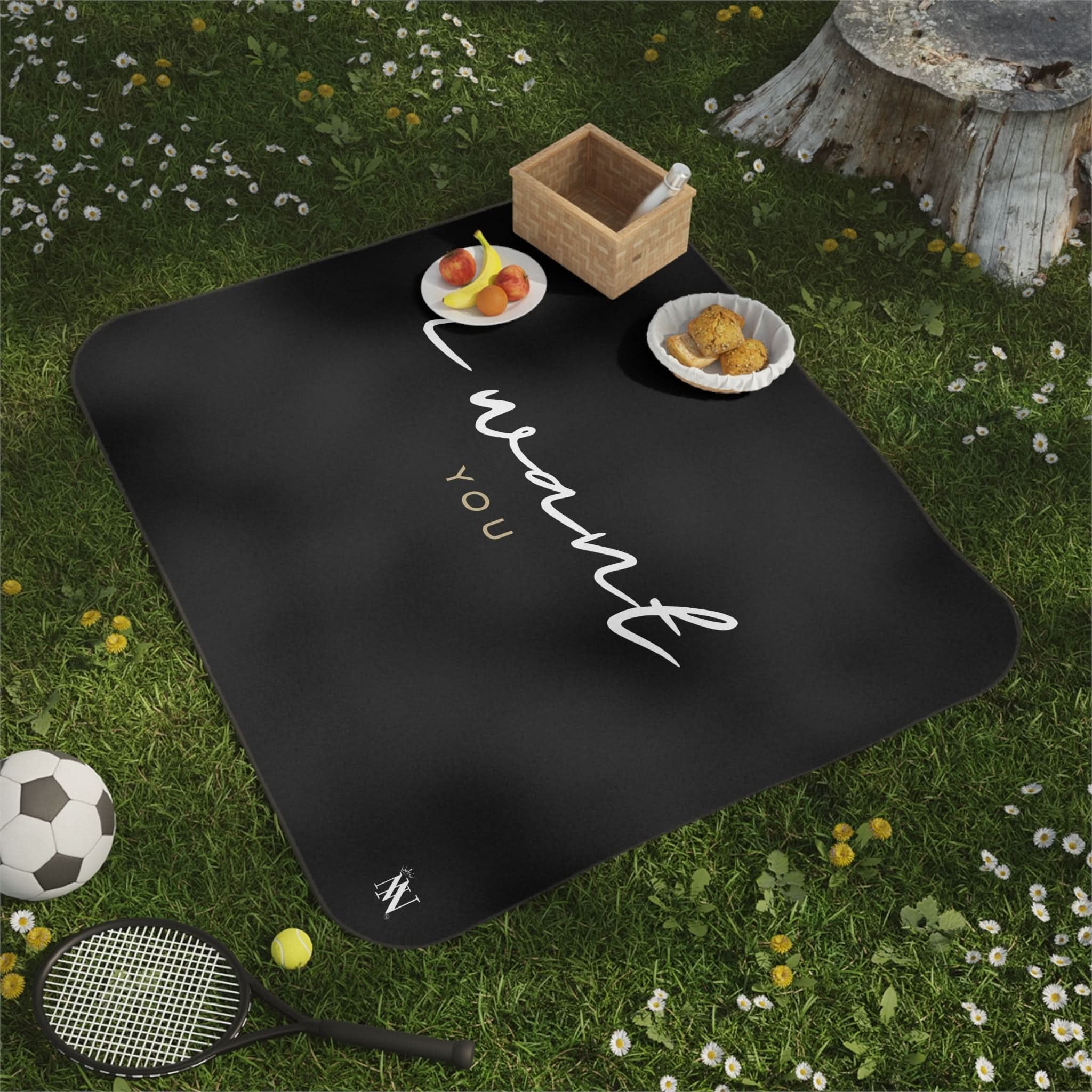 I Want You | Mix Match Fun-Flirty Lovers’ Water-Resistant Blankets
