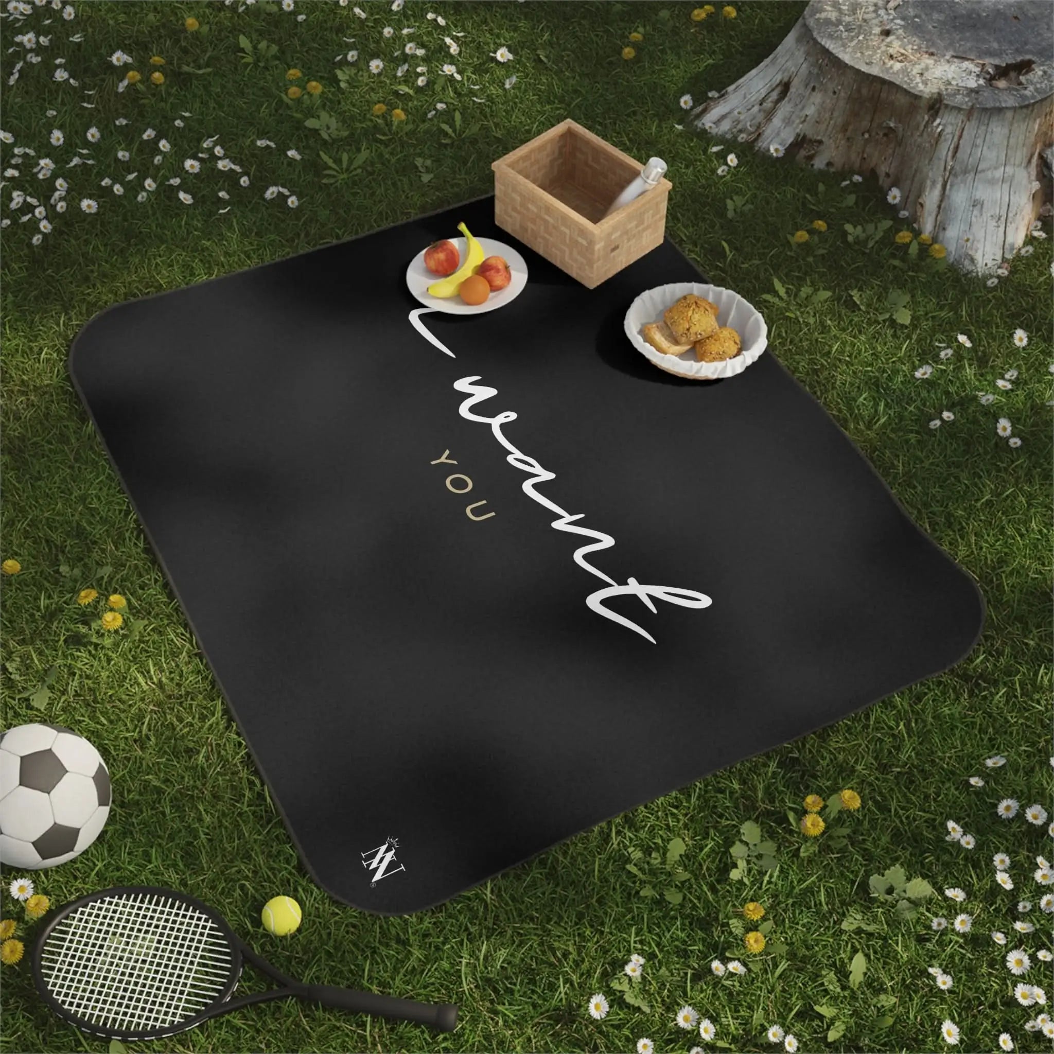 I Want You | Mix Match Fun-Flirty Lovers’ Water-Resistant Blankets