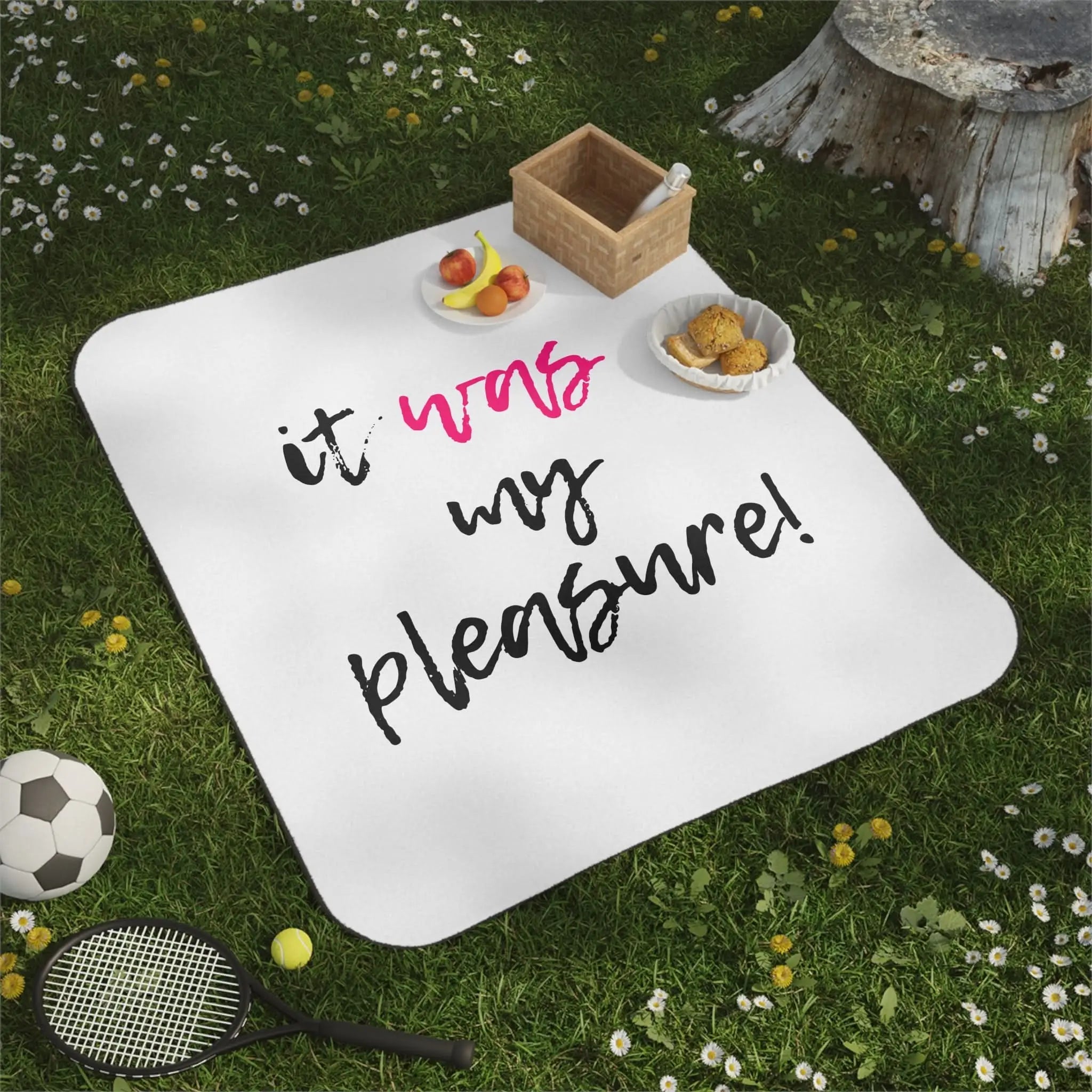 It Was My Pleasure | Mix Match Fun-Flirty Lovers’ Water-Resistant Blankets