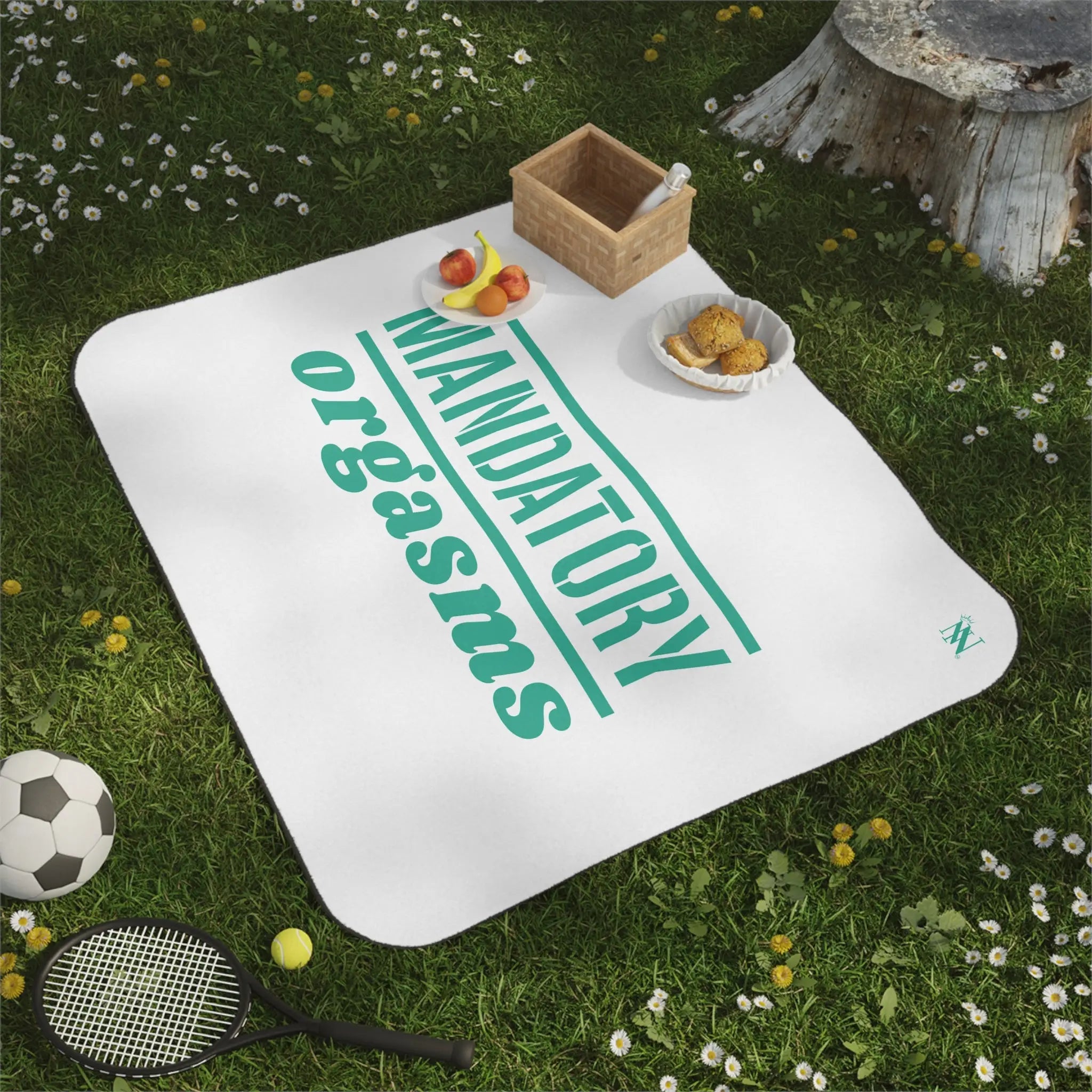 Mandatory Orgasms | Mix Match Fun-Flirty Lovers’ Water-Resistant Blankets