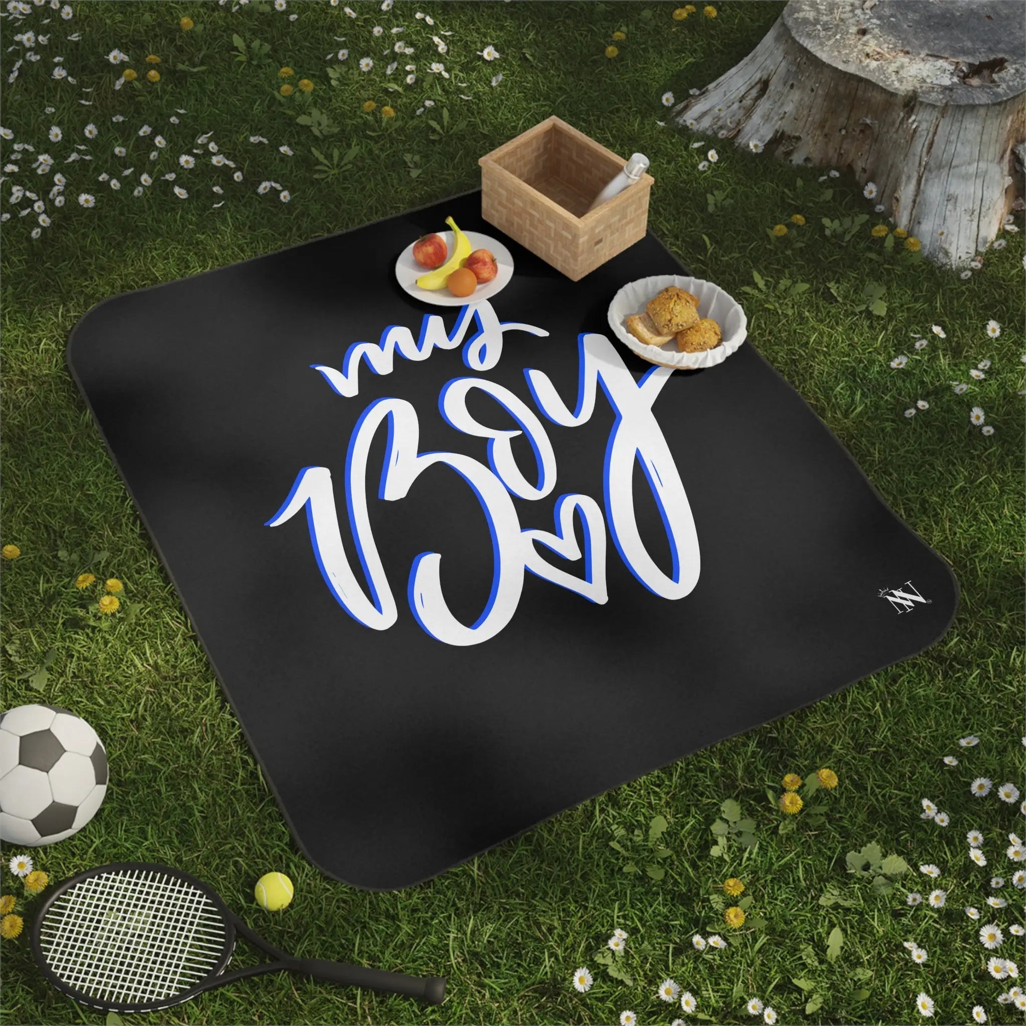 My Boy | Mix Match Fun-Flirty Lovers’ Water-Resistant Blankets