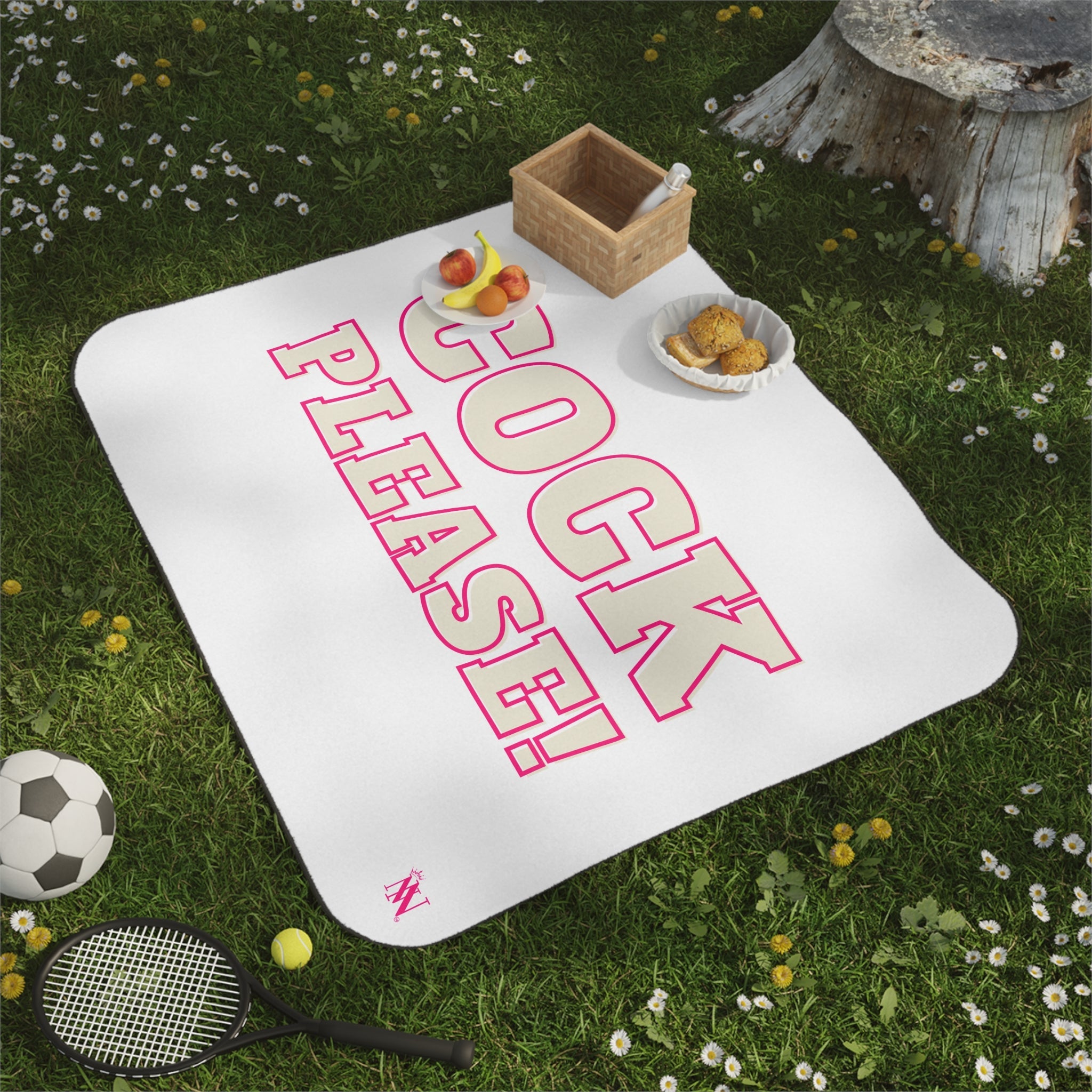 Pink Cock Please! | Mix Match Fun-Flirty Lovers’ Water-Resistant Blankets