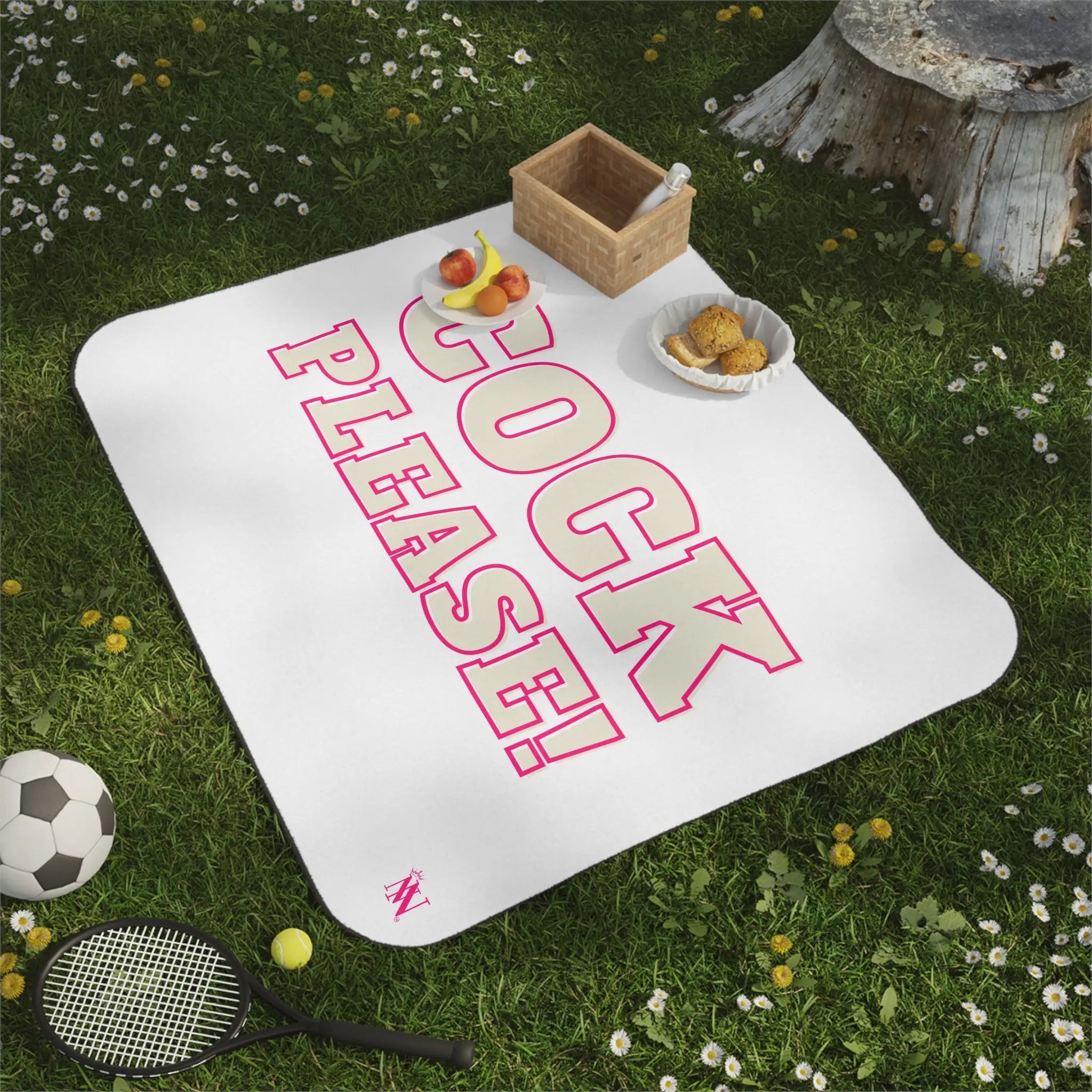 Pink Cock Please! | Mix Match Fun-Flirty Lovers’ Water-Resistant Blankets