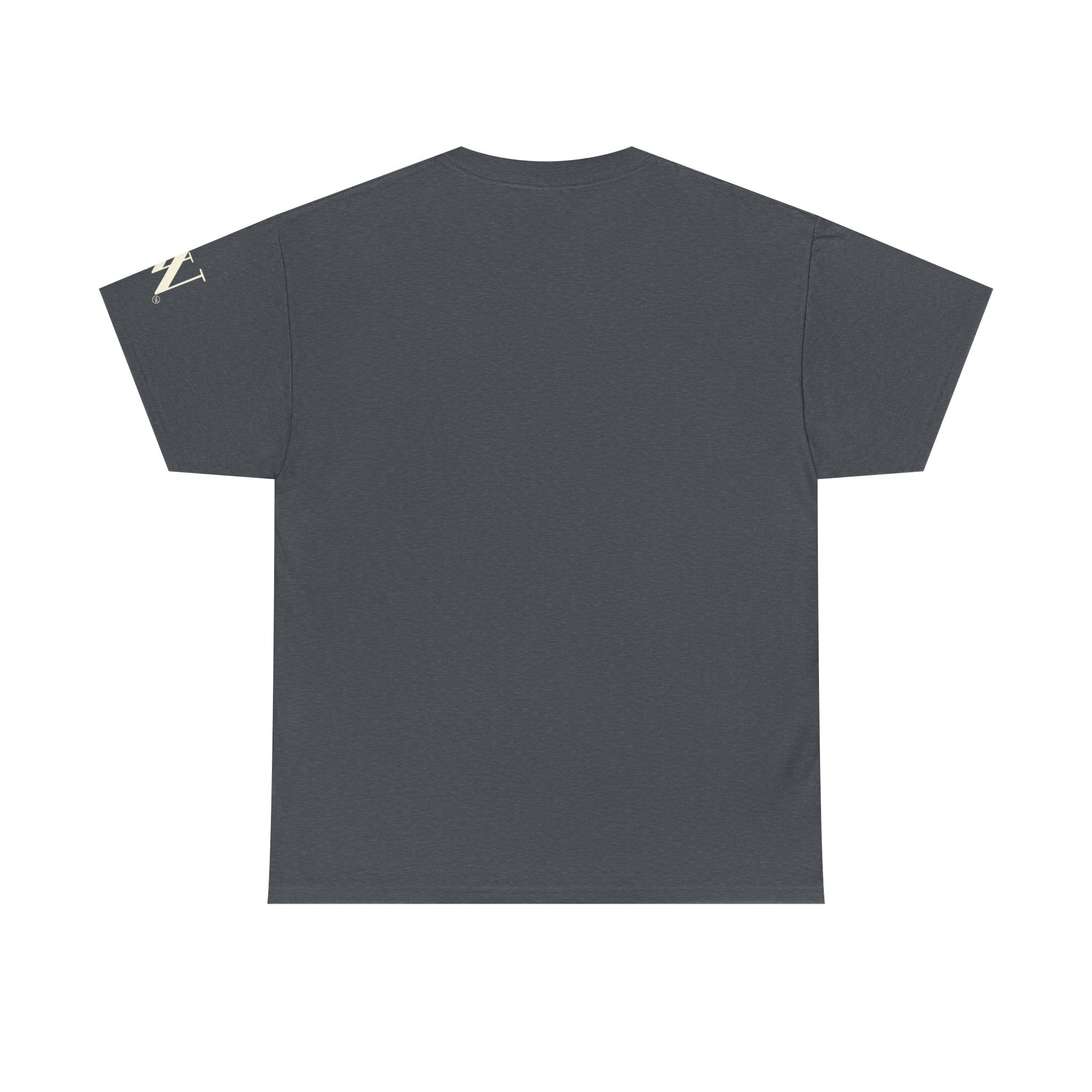 Please Cum | Mix & Match 100% Cotton Unisex Fun-Flirty Lovers’ Tees